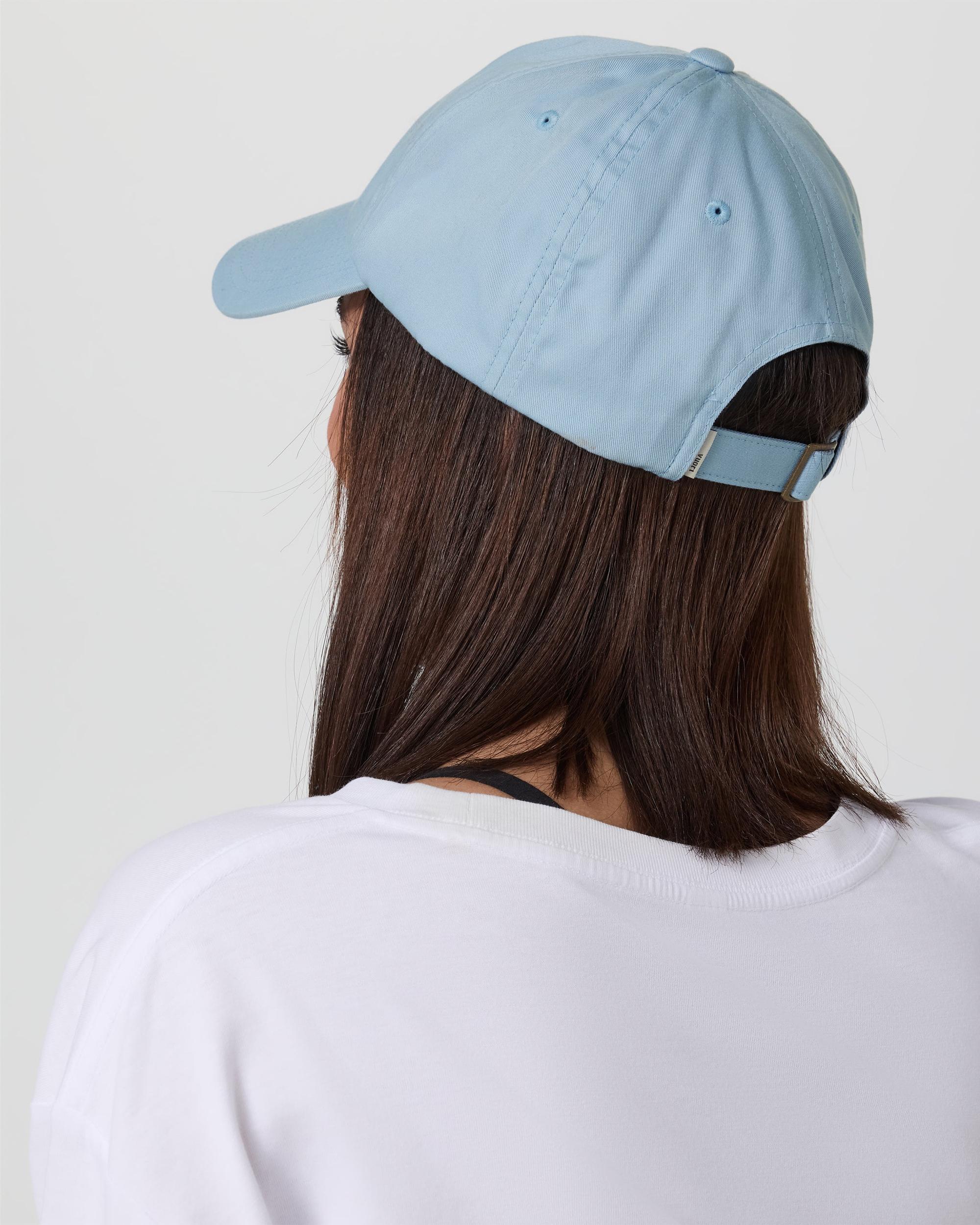 V1 Dad Hat 2.0 Product Image