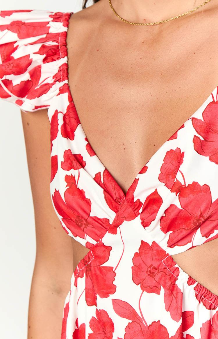 Kaden Red Anemone Floral Print Maxi Dress Product Image