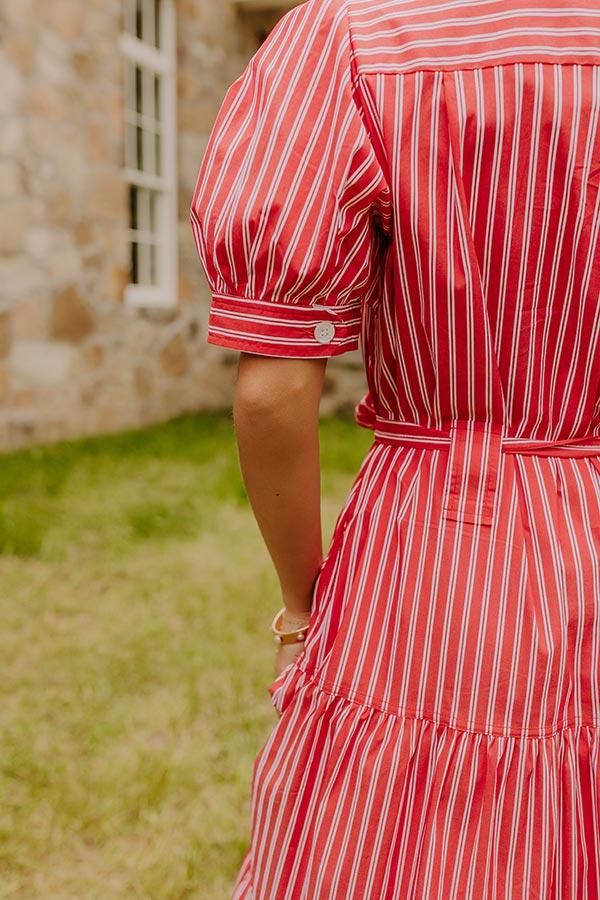 Picnic Date Stripe Midi Dress Product Image