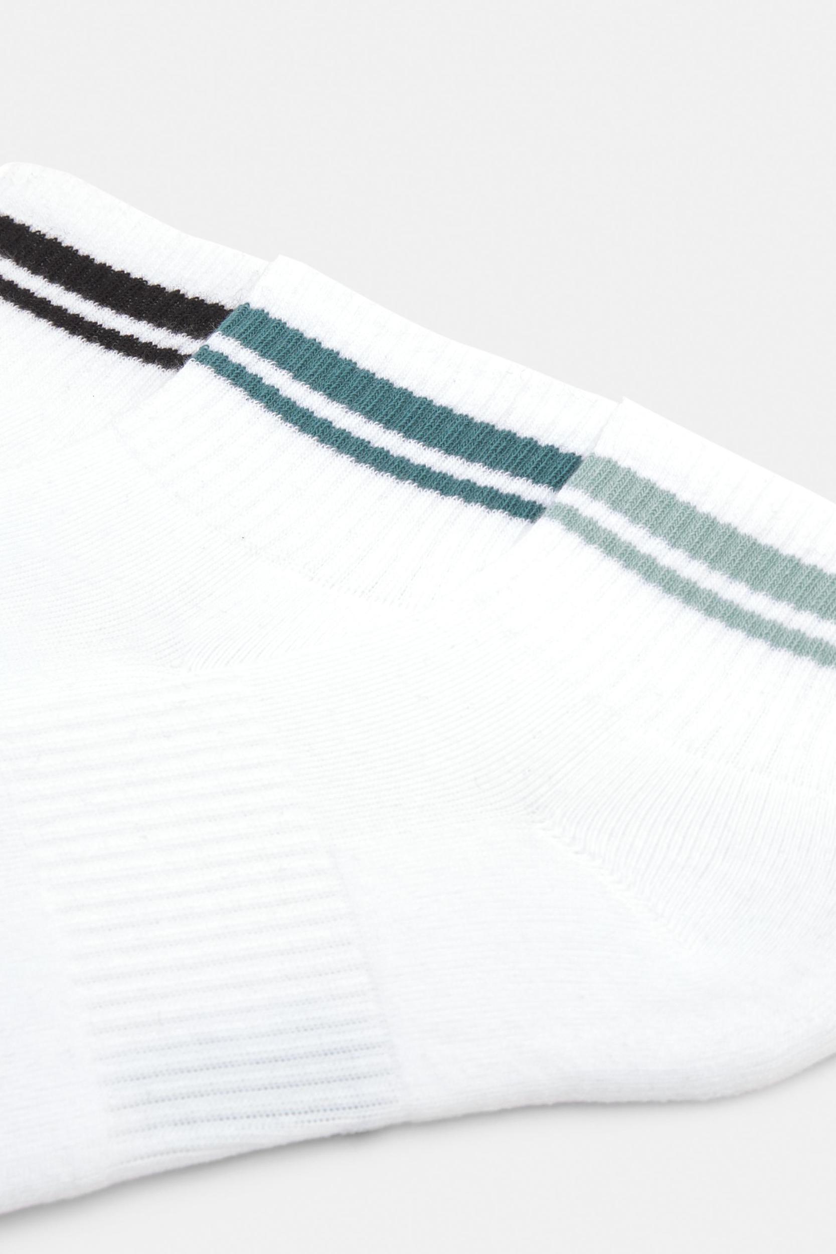 Pack of striped STWD socks Product Image