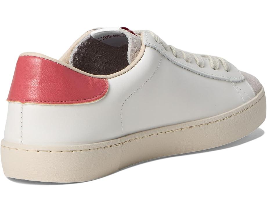 Berlin Ciclista Product Image