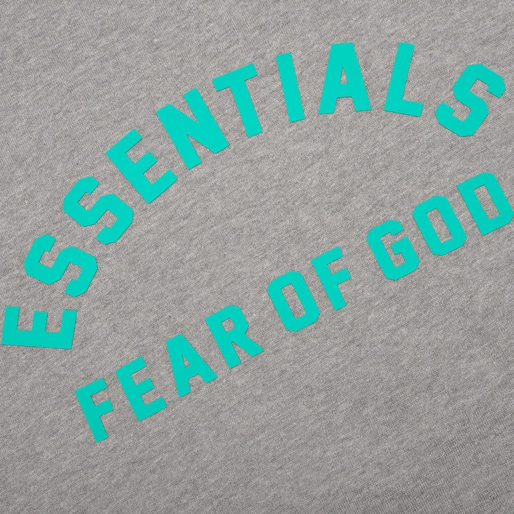 Heavy Jersey S/S Tee - Dark Heather Oatmeal Male Product Image