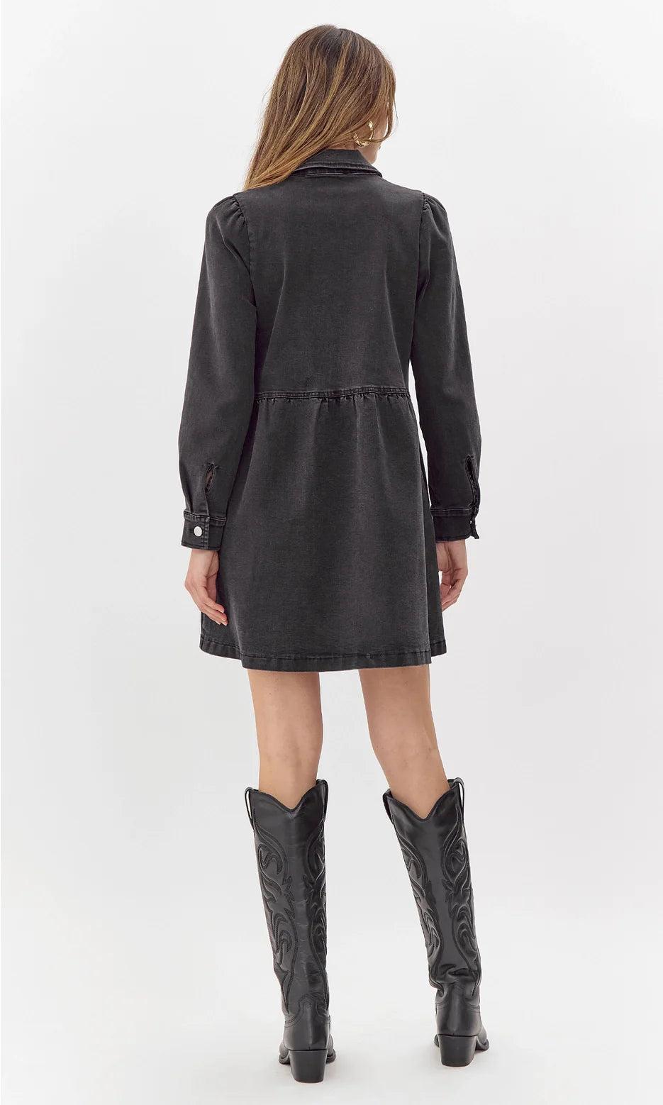 Lia Denim Zip Dress Product Image