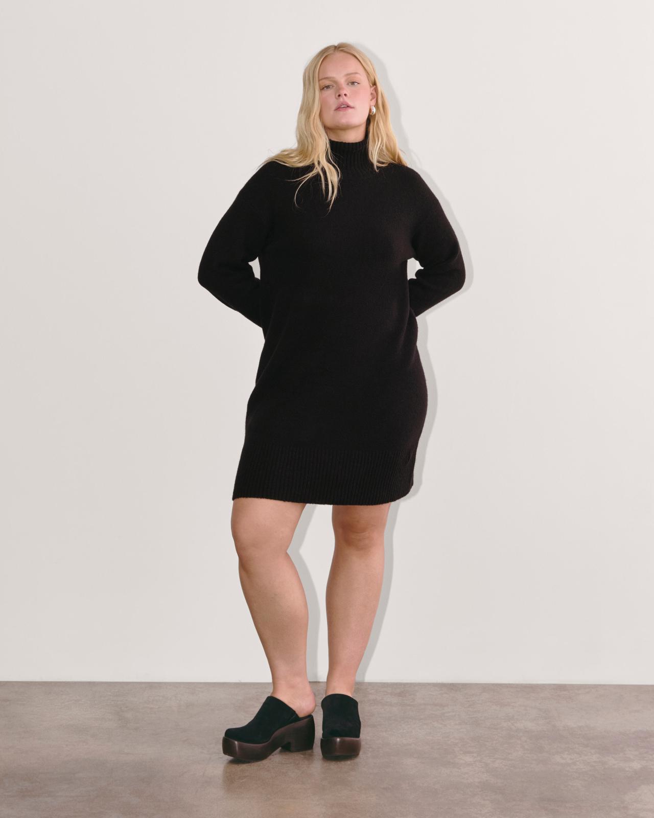 Womens Sweater Dress in Plush Cotton by Everlane Product Image