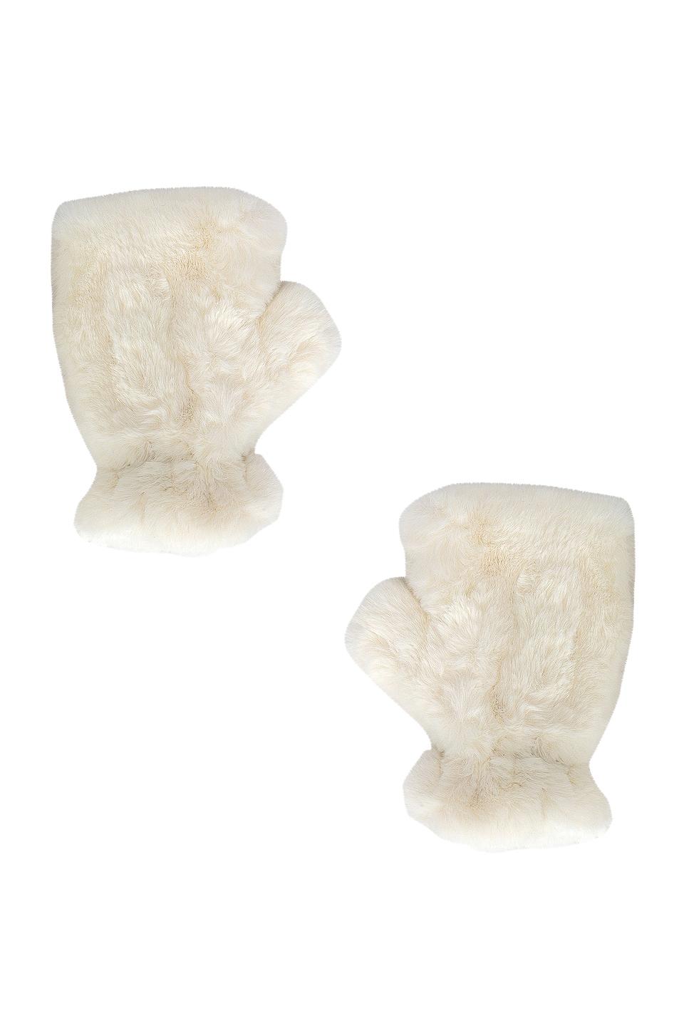 Ariel Faux Fur Gloves Apparis Product Image