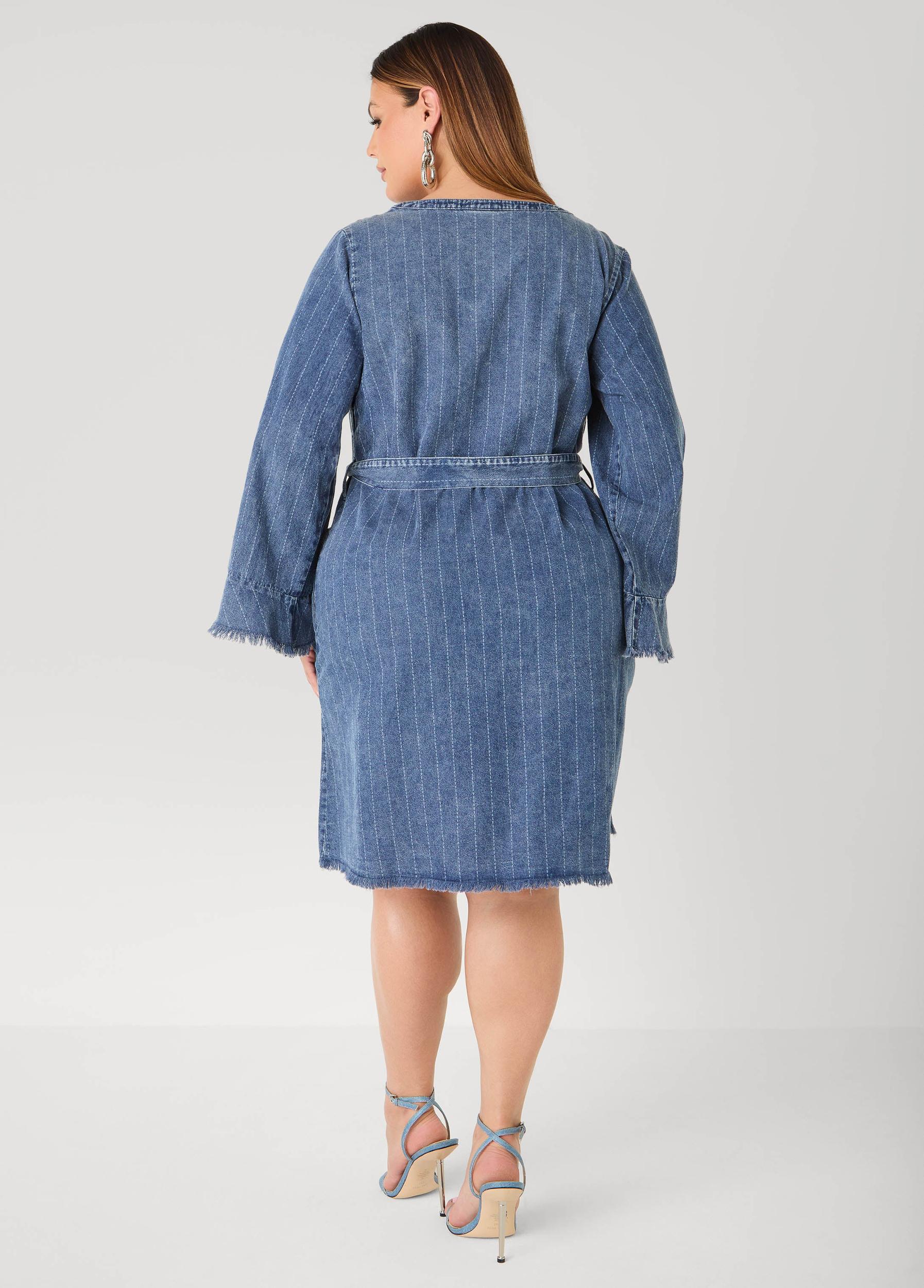 Striped Denim Shirtdress Product Image