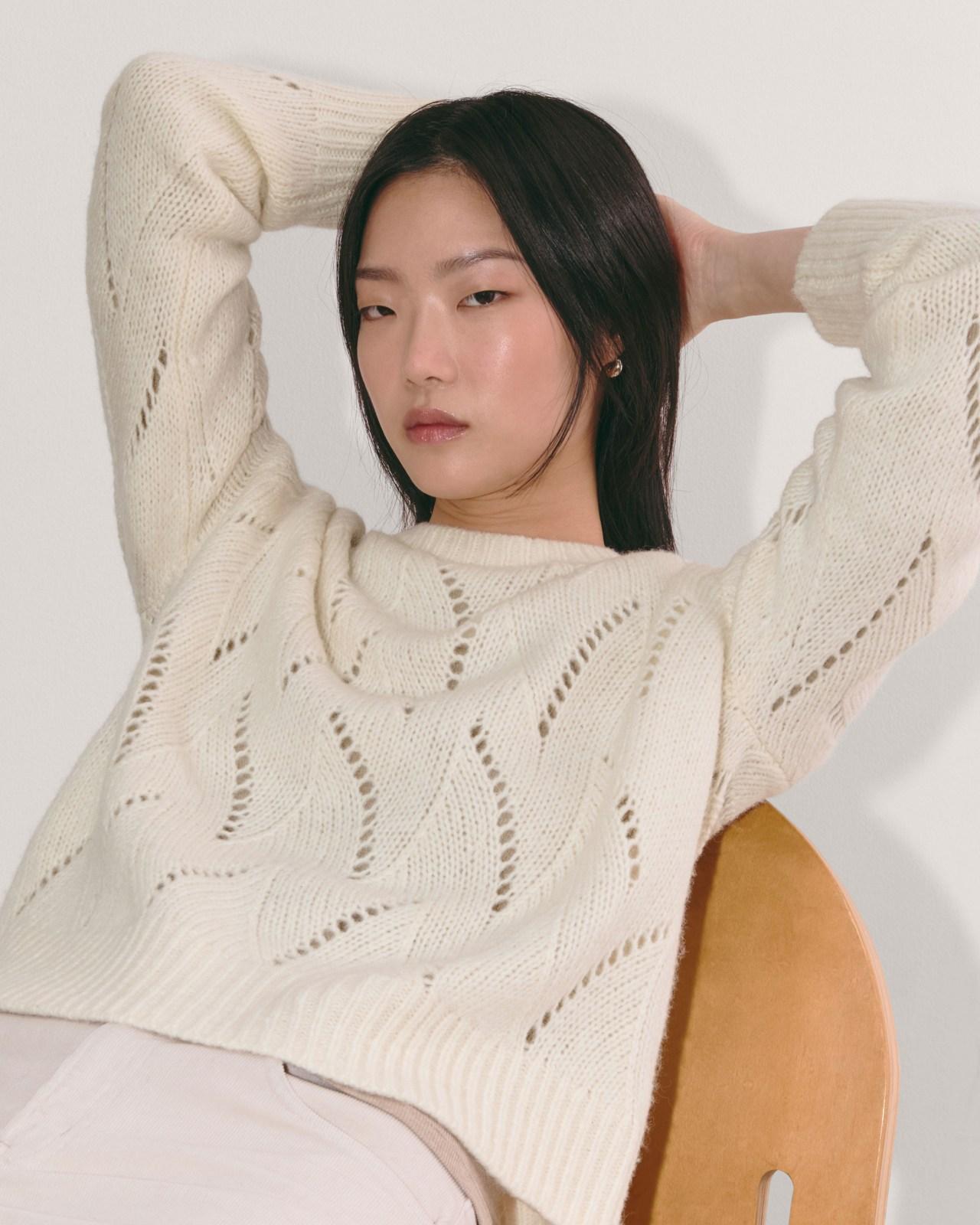 Womens Pointelle Sweater in Cloud by Everlane Product Image