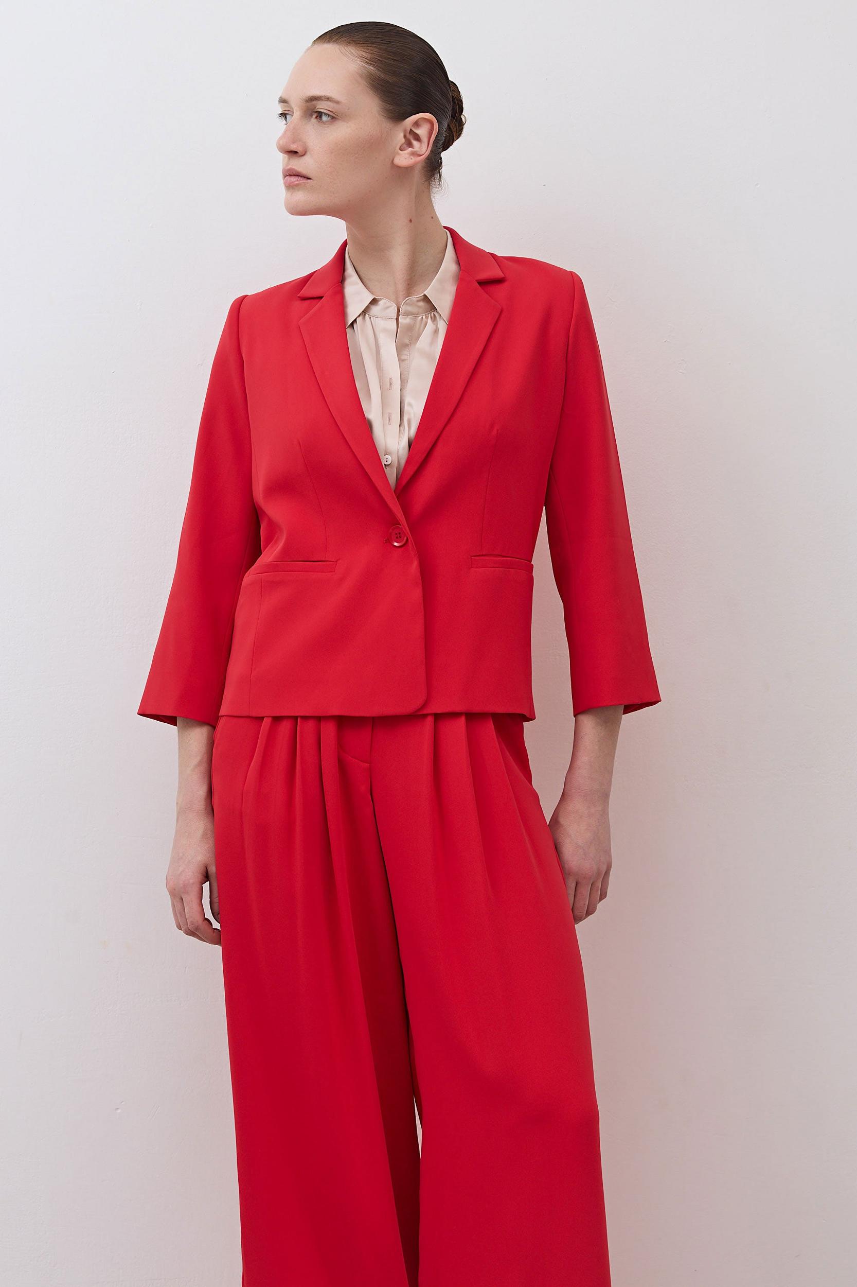 The Shrunken Blazer Product Image