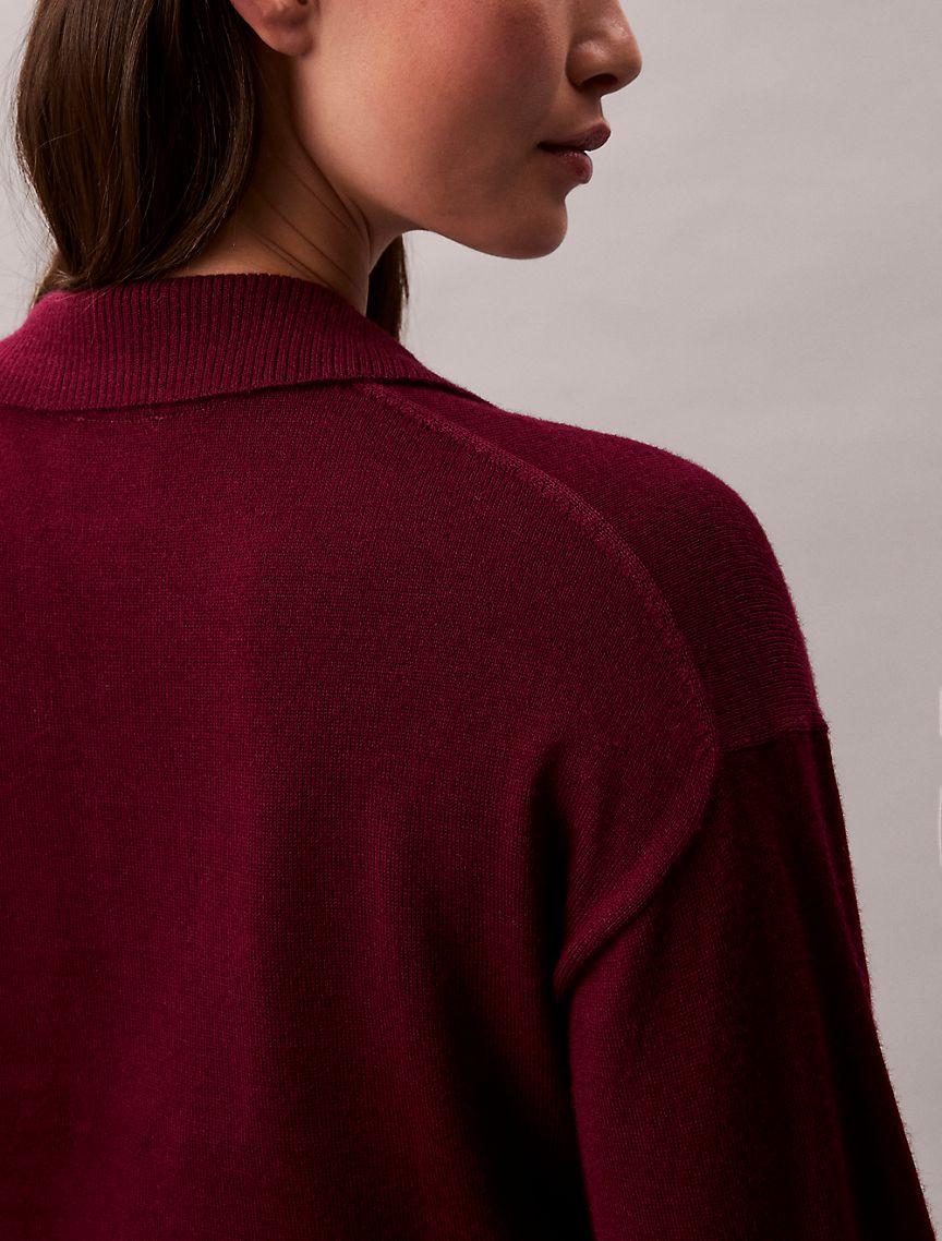 Merino Wool Blend Relaxed Polo Sweater Product Image