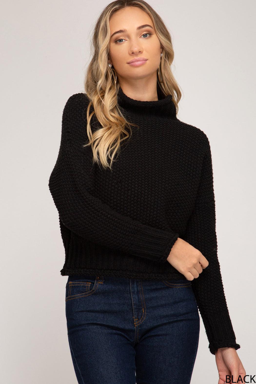 Chunky Turtleneck Sweater Product Image