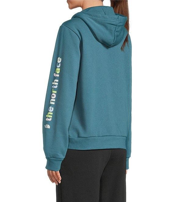 The North Face Evolution Proud Graphic Pullover Hoodie Product Image
