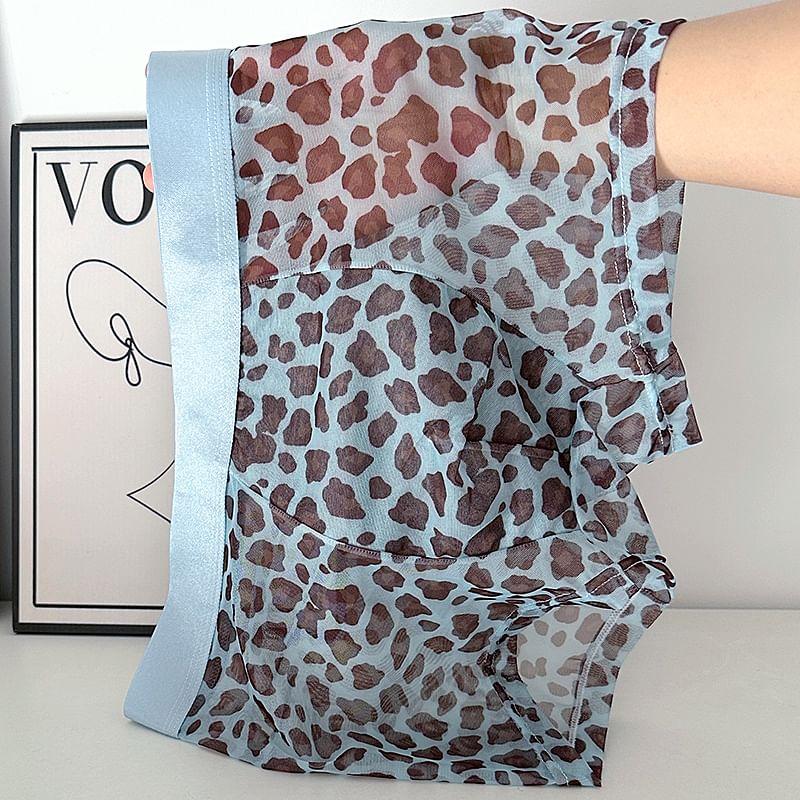 Leopard Print Boxer Brief / Set Product Image