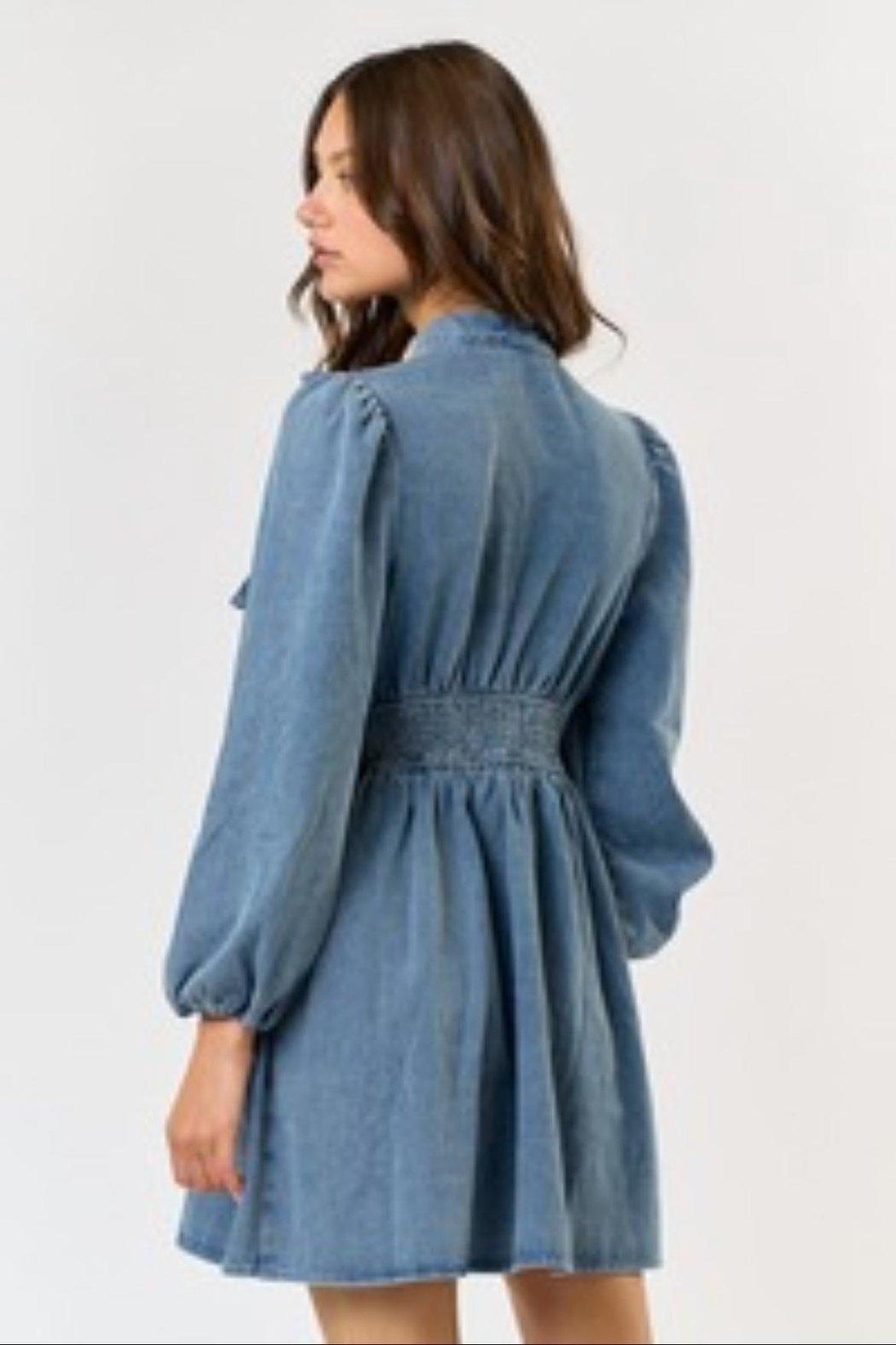 Denim Bow Dress Product Image
