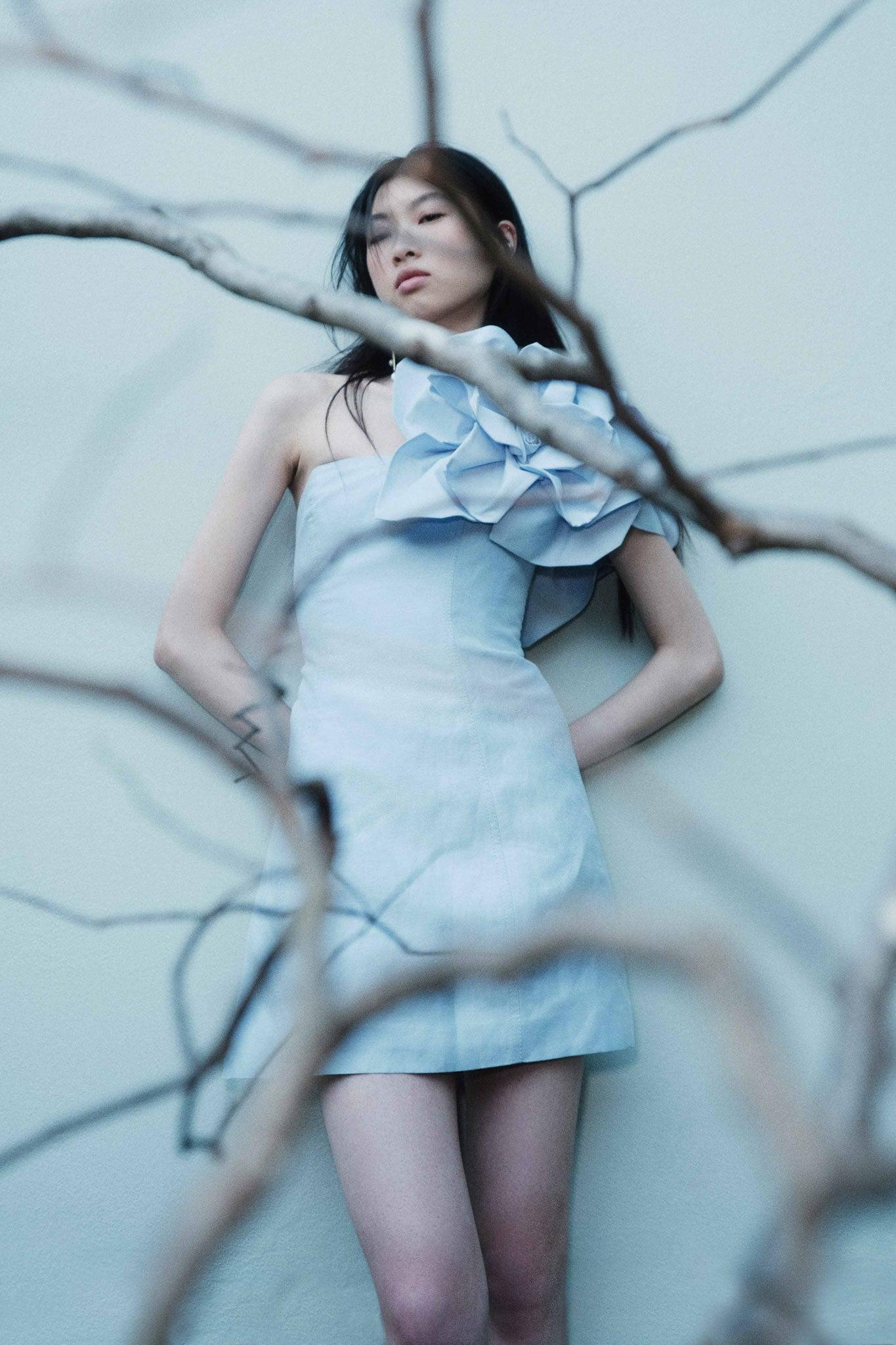 Florence Mini Dress Product Image