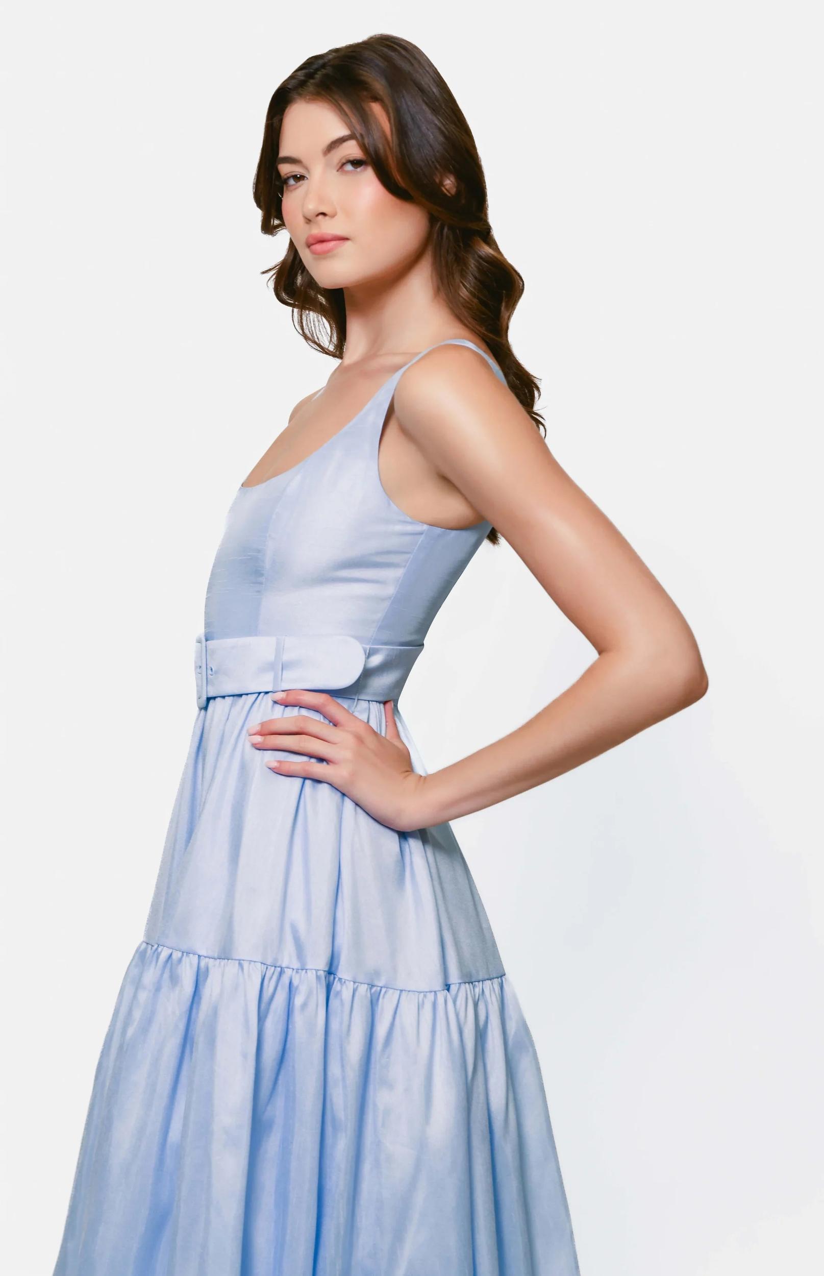 Alice Dress Product Image