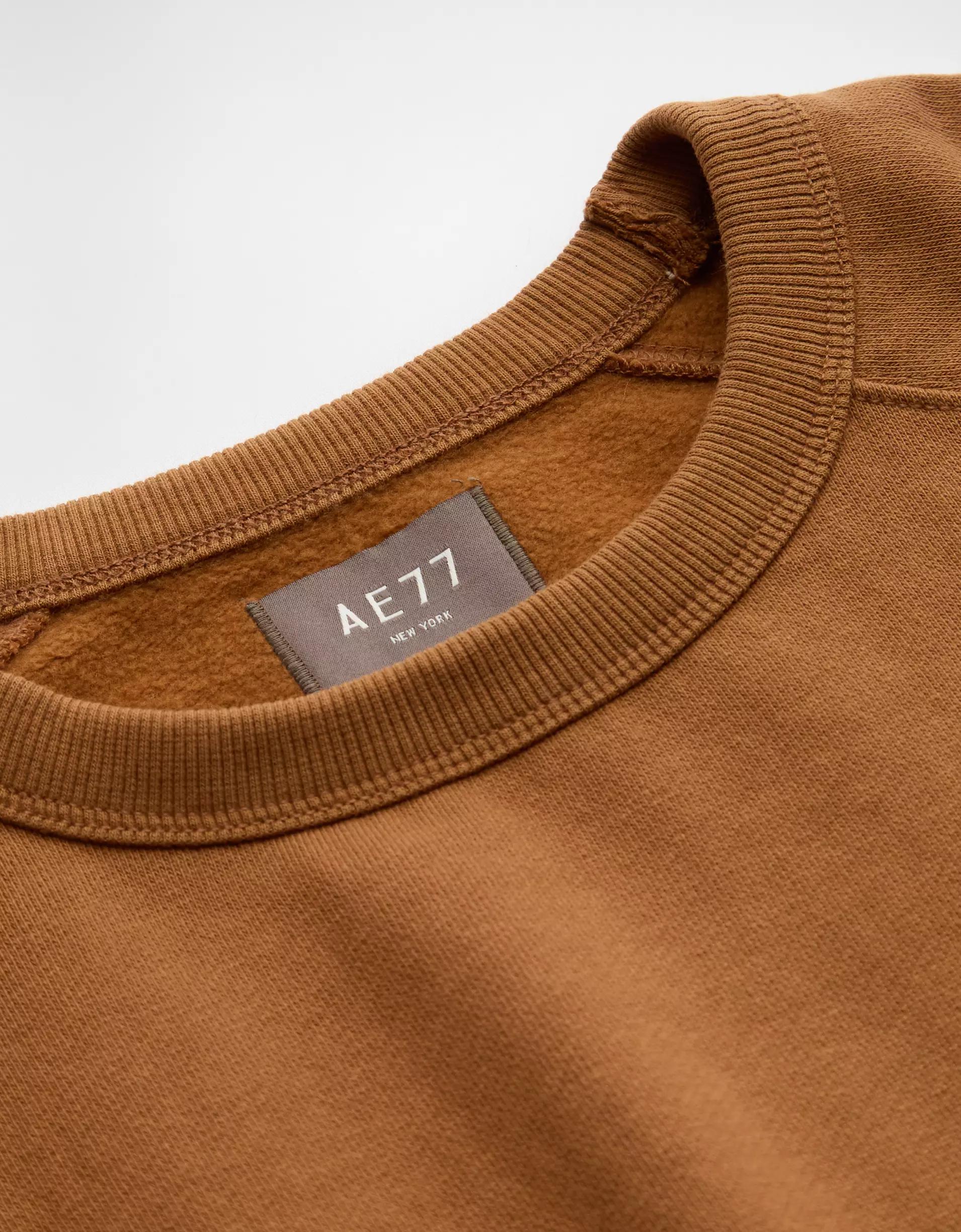 AE77 Premium Short-Sleeve Sweatshirt Product Image