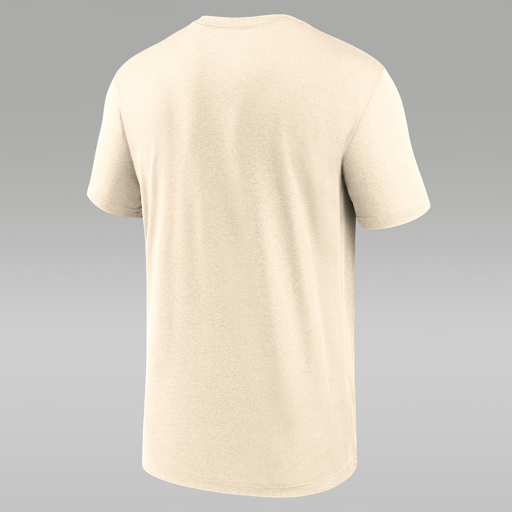 Michigan Campus Legend Shadow Logo Nike Mens Dri-FIT College T-Shirt | NKGK15AMWN-ET9 Product Image