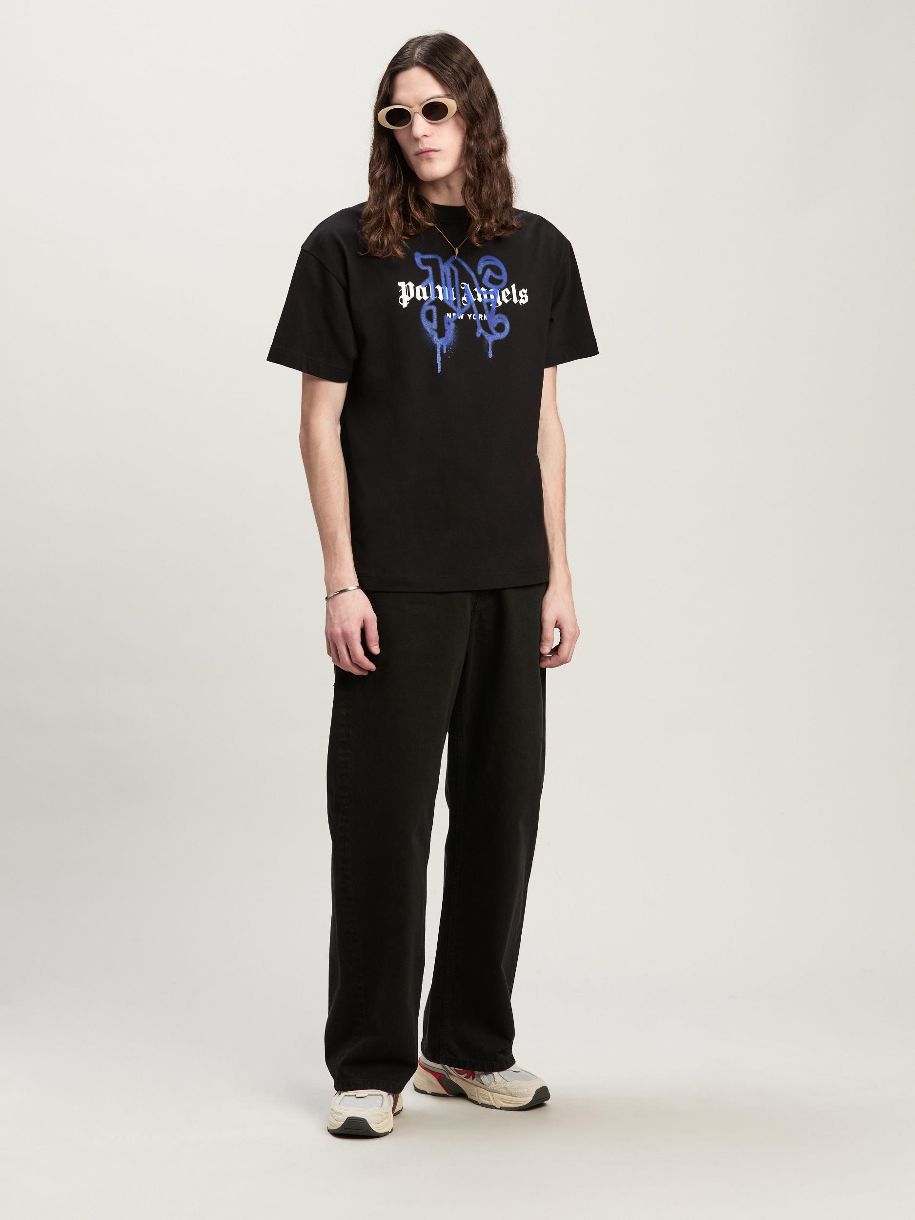 Lightweight Jersey Raglan Standard T-Shirt Male Product Image