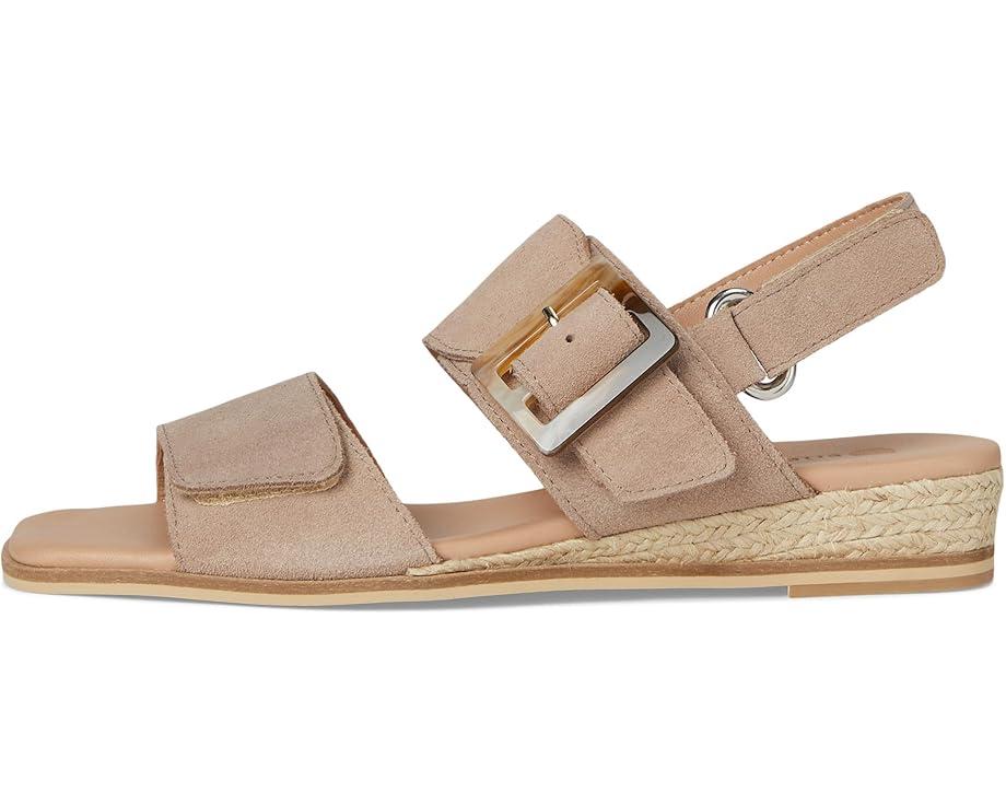 Timeless Life Product Image