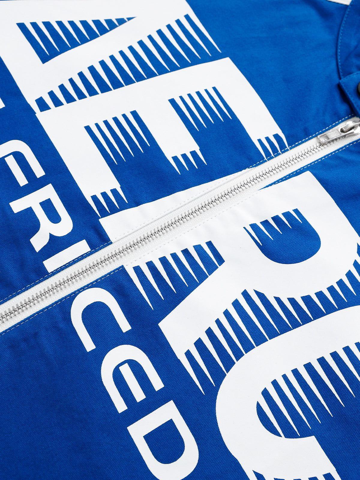 Aelfric Eden Vintage Starry Fringe Jorts Product Image