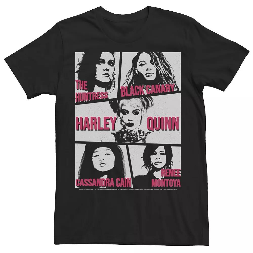 Men's Birds Of Prey Character Box Up Tee,  Product Image