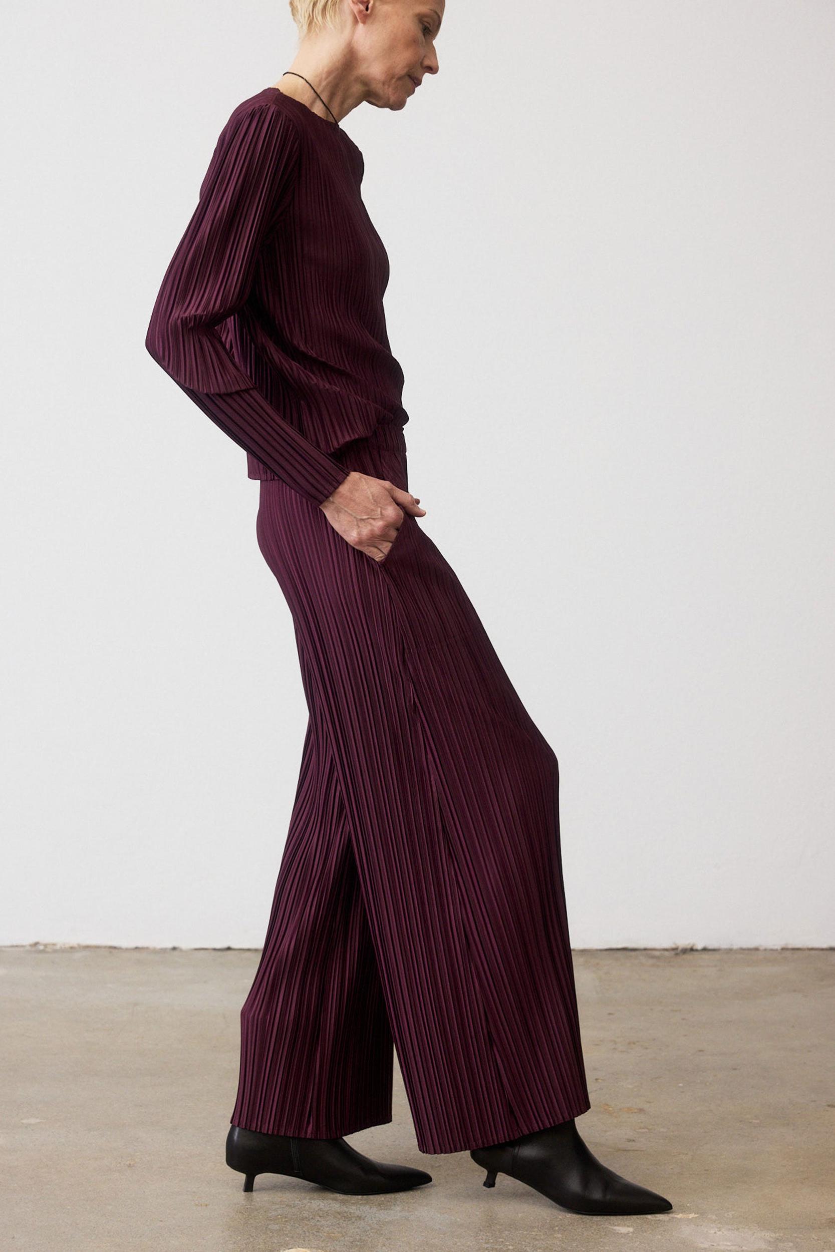 Relaxed Pleated Pants Product Image