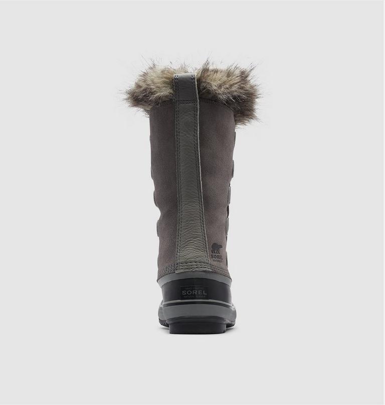 JOAN OF ARCTIC™ Women's Waterproof Boot Product Image