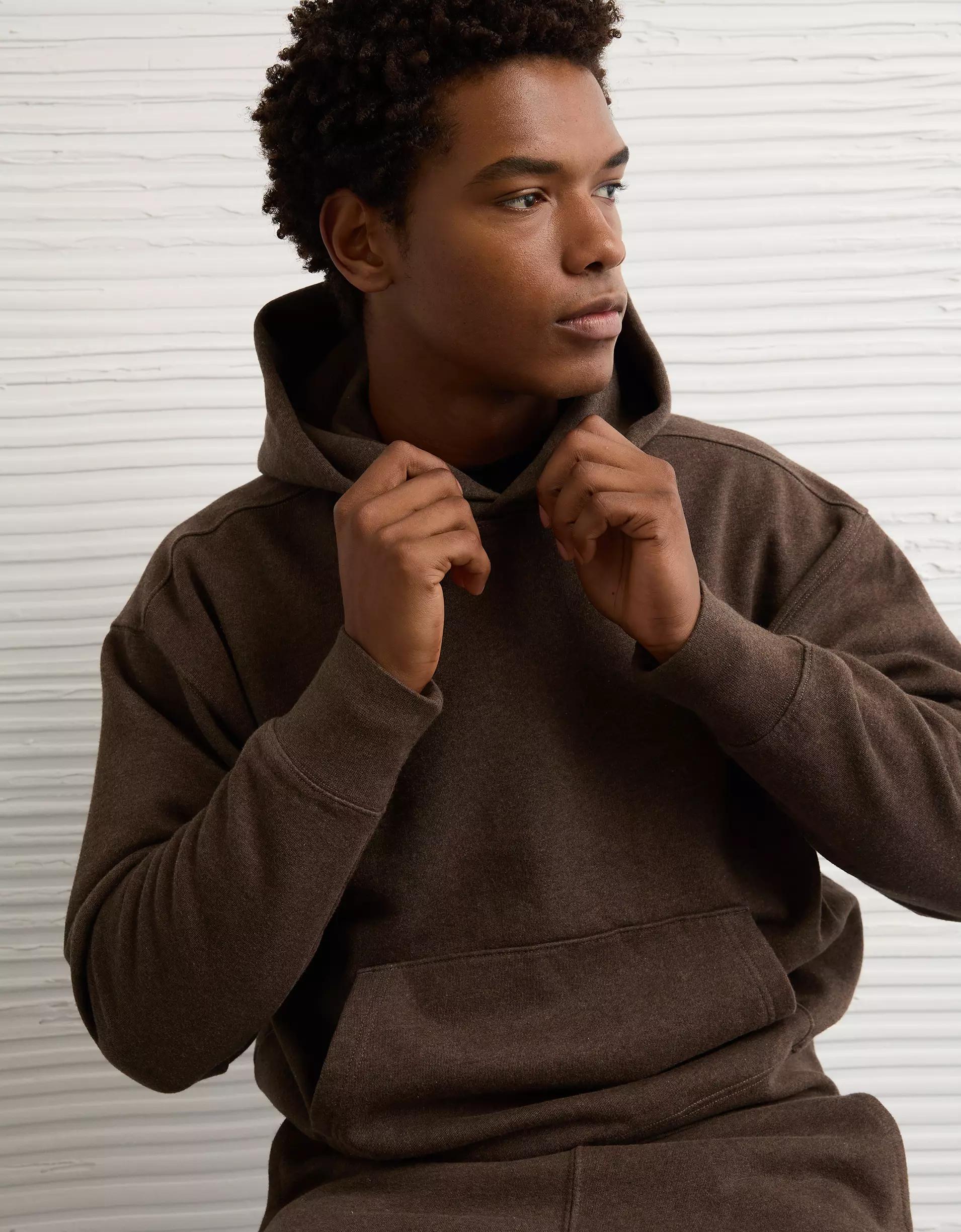 AE Laidback Luxe Heavyweight Hoodie Product Image