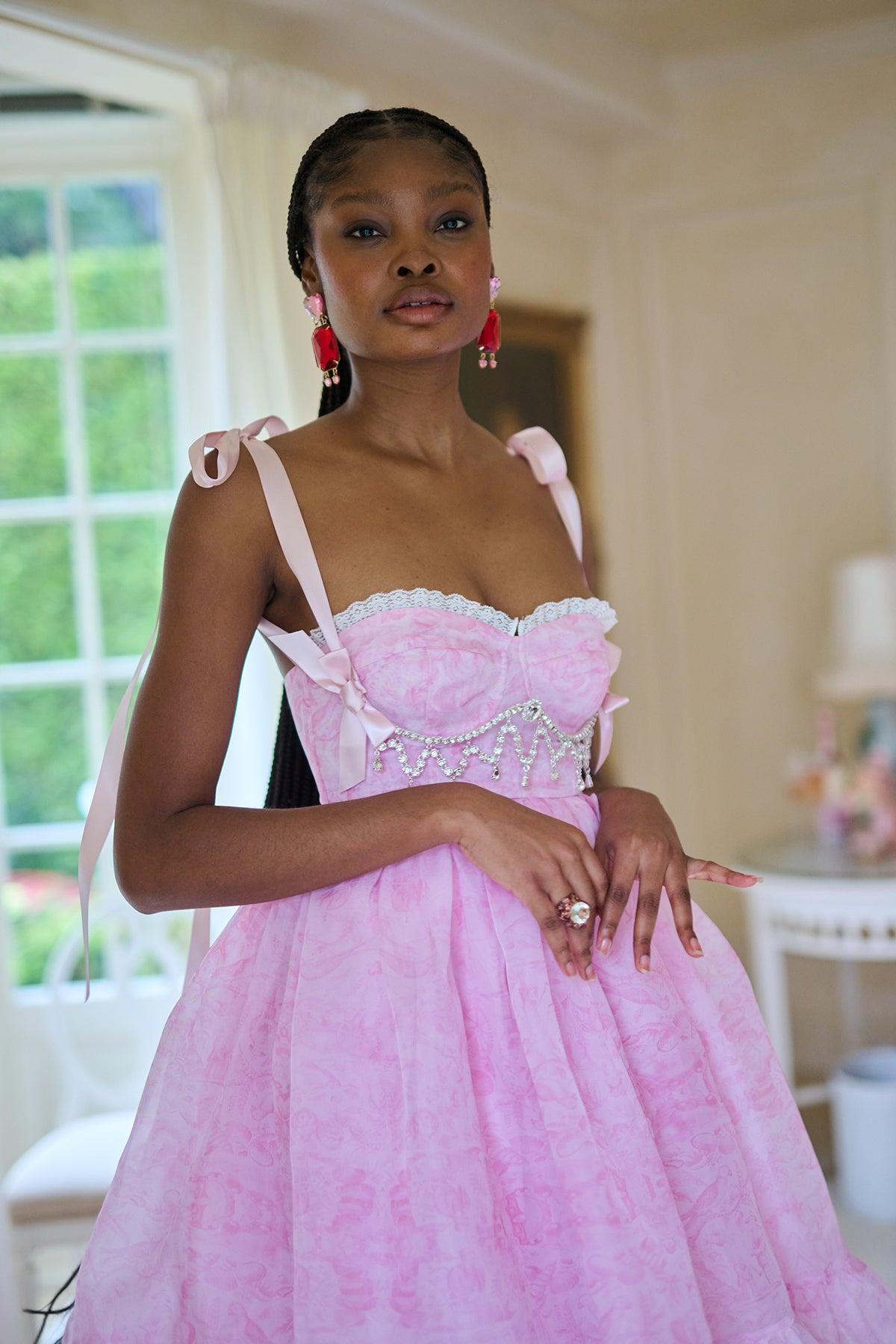 The Pink Porcelain French Corset Puff Dress Product Image