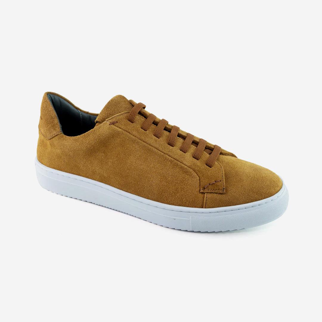 36's Laceless Low Top Product Image