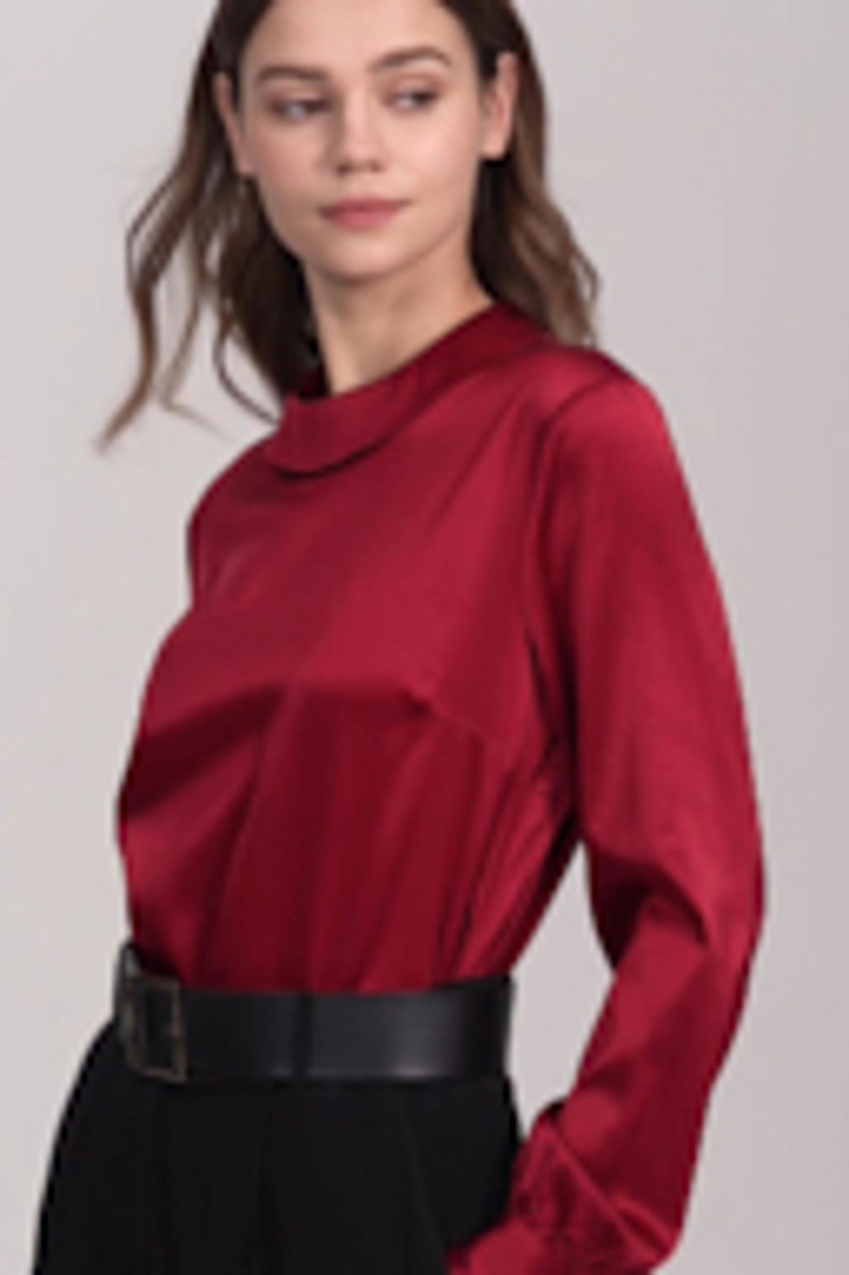 Stand Collar Long Sleeves  Silk Blouse Product Image