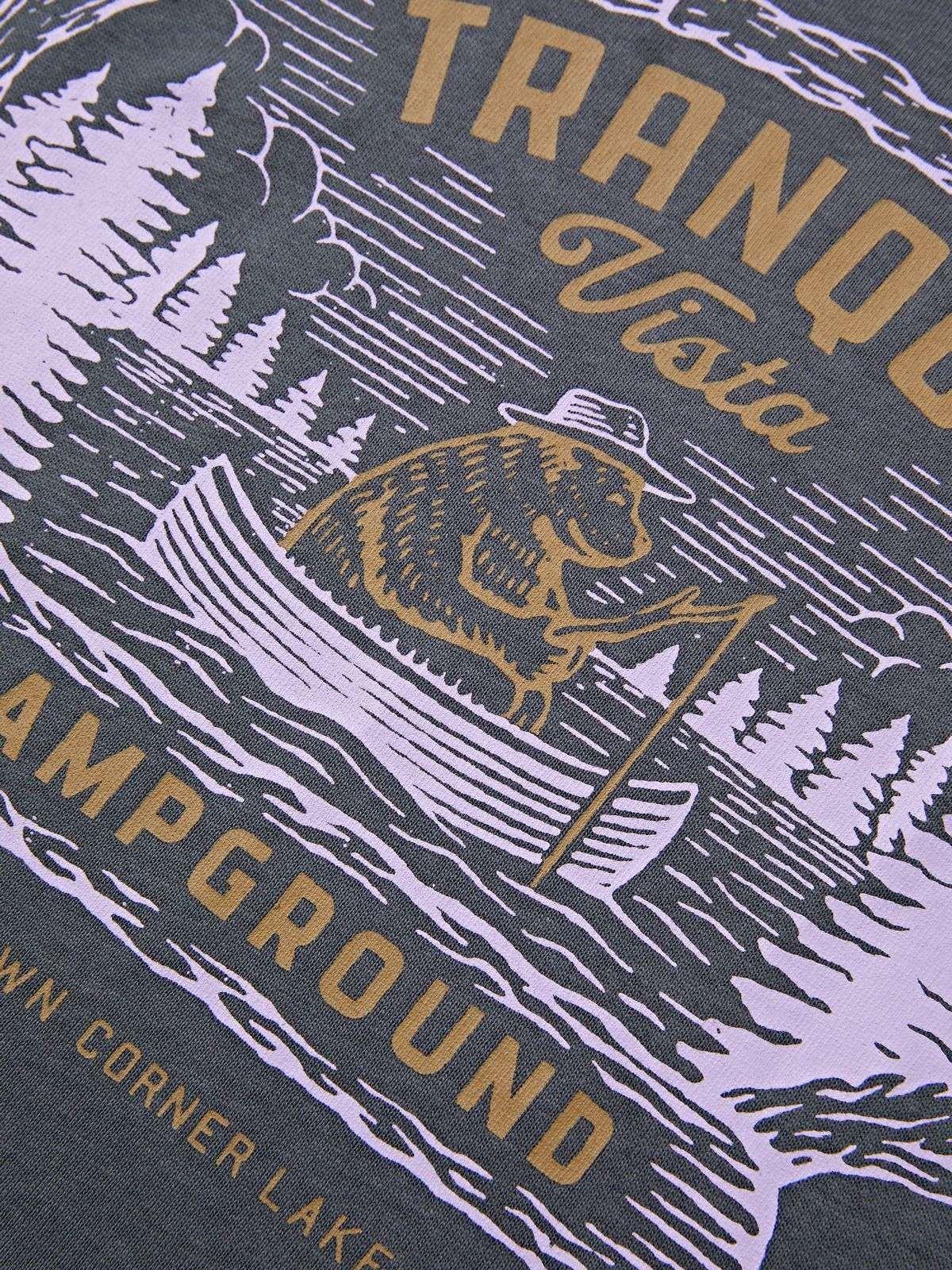 Camp Ground Vintage Print Crop Top Product Image