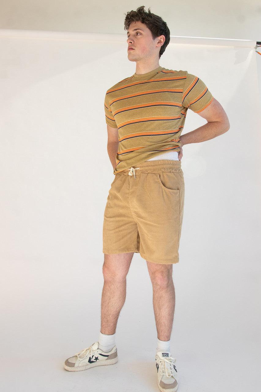 Plush Corduroy Shorts Product Image