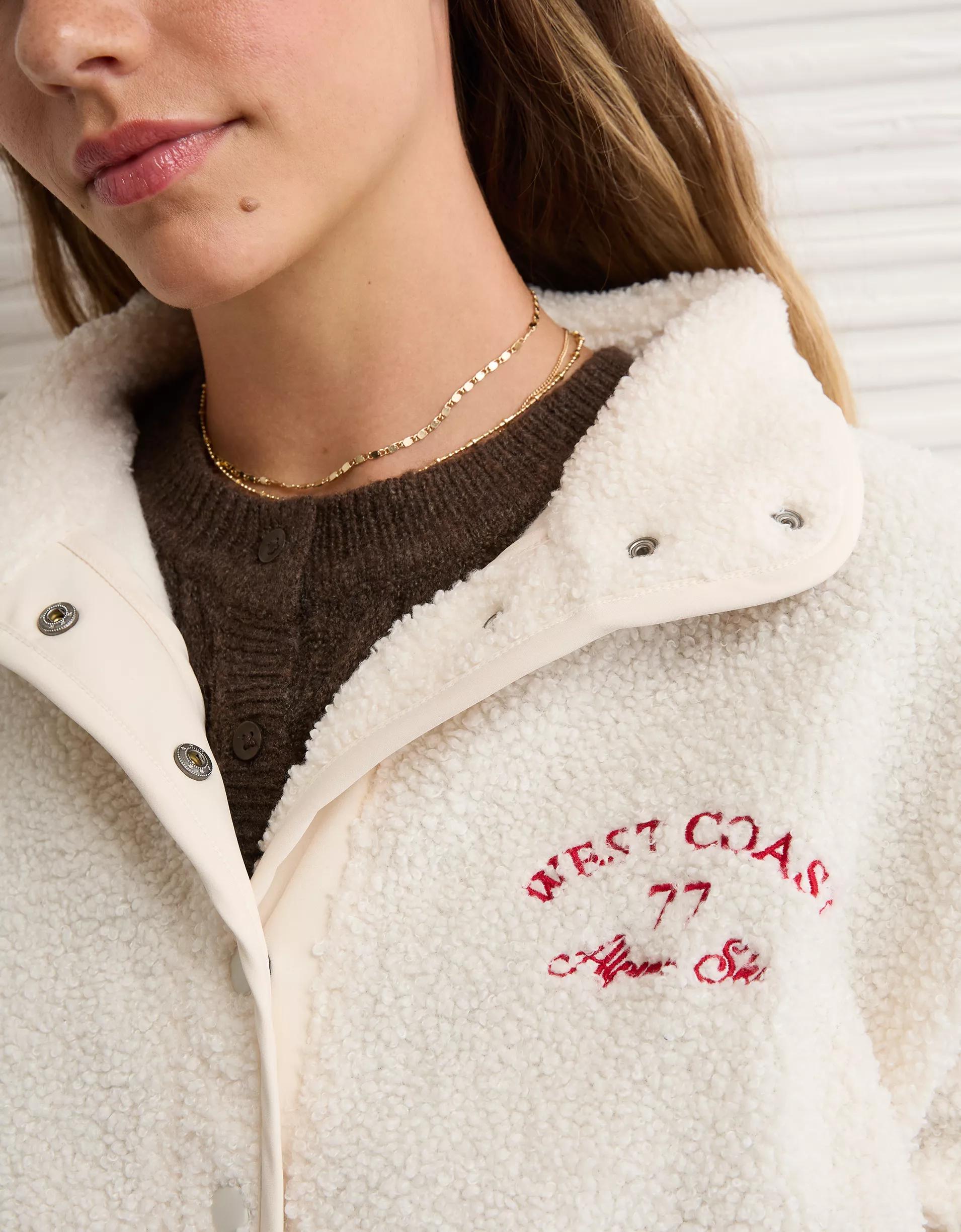 AE Sherpa Fleece Graphic Henley Sweatshirt Product Image