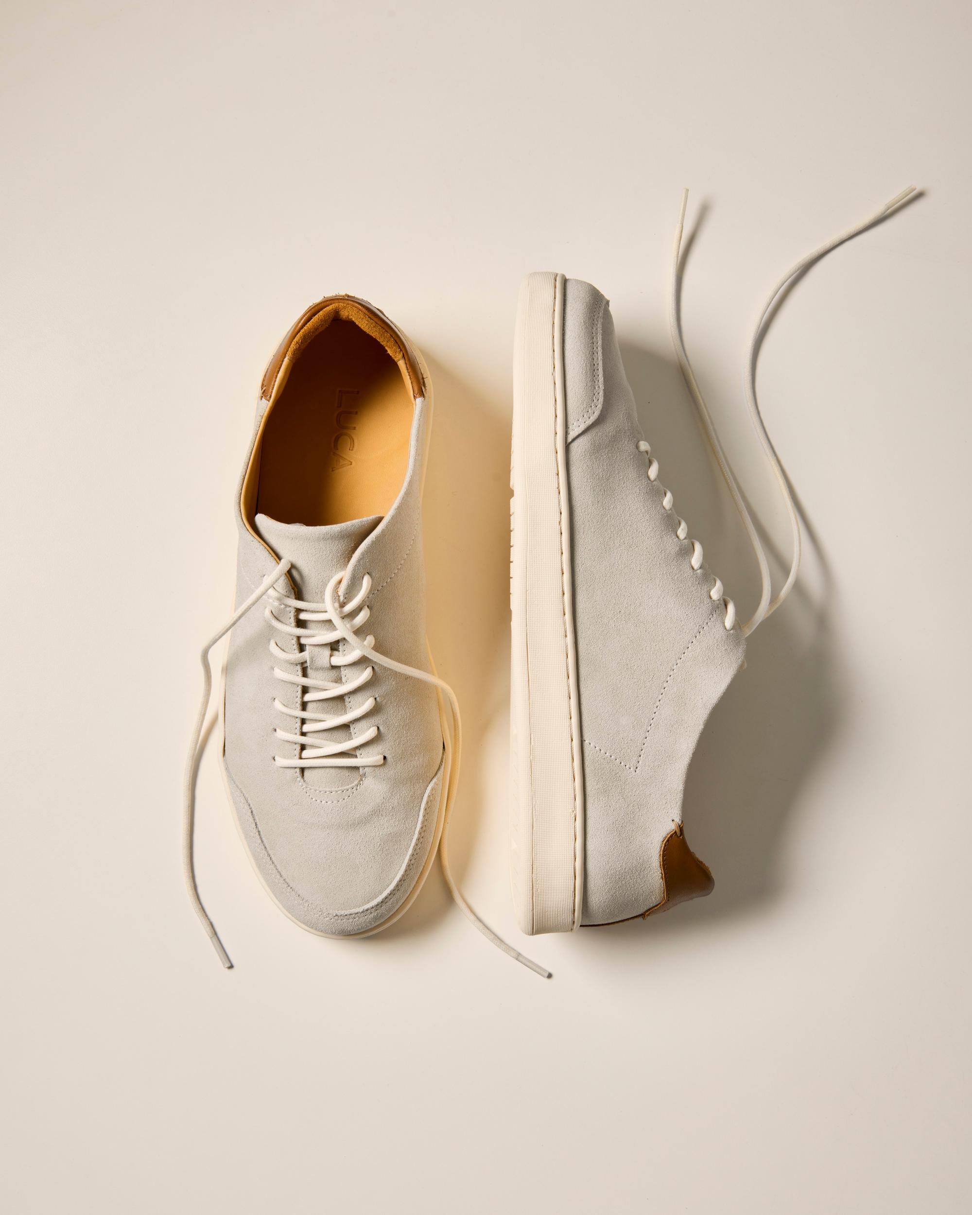 Suede Terra Low Sneaker Product Image