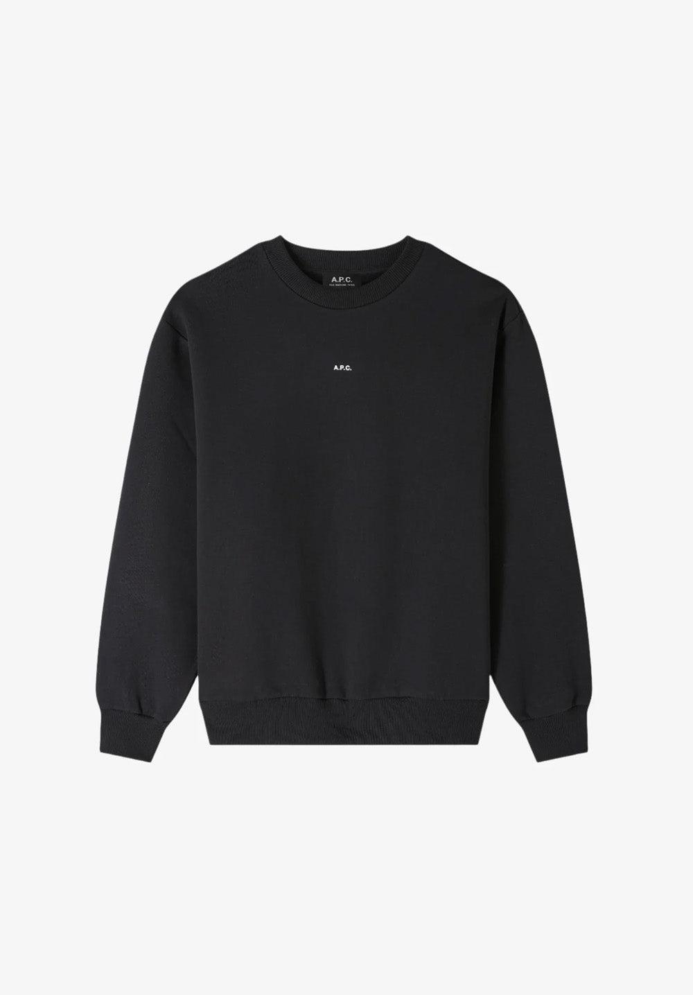Boxy Micro Logo sweatshirt Male Product Image