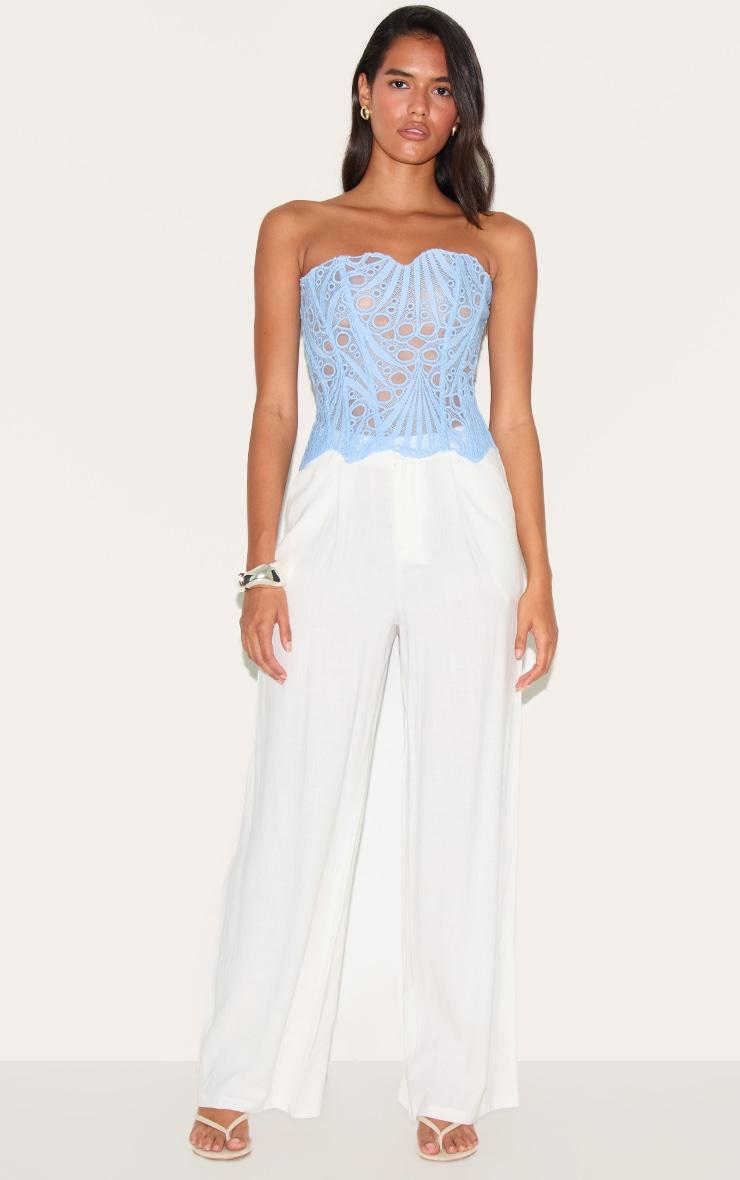 Sky Blue Textured Sheer Floral Lace Corset Product Image