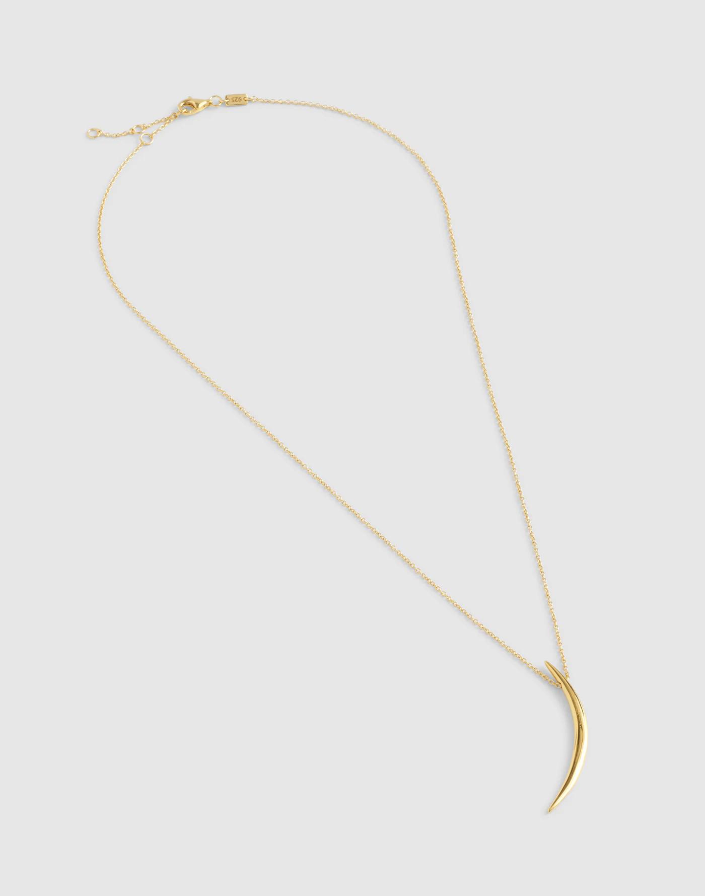 Demi-Fine Horn Pendant Necklace Product Image