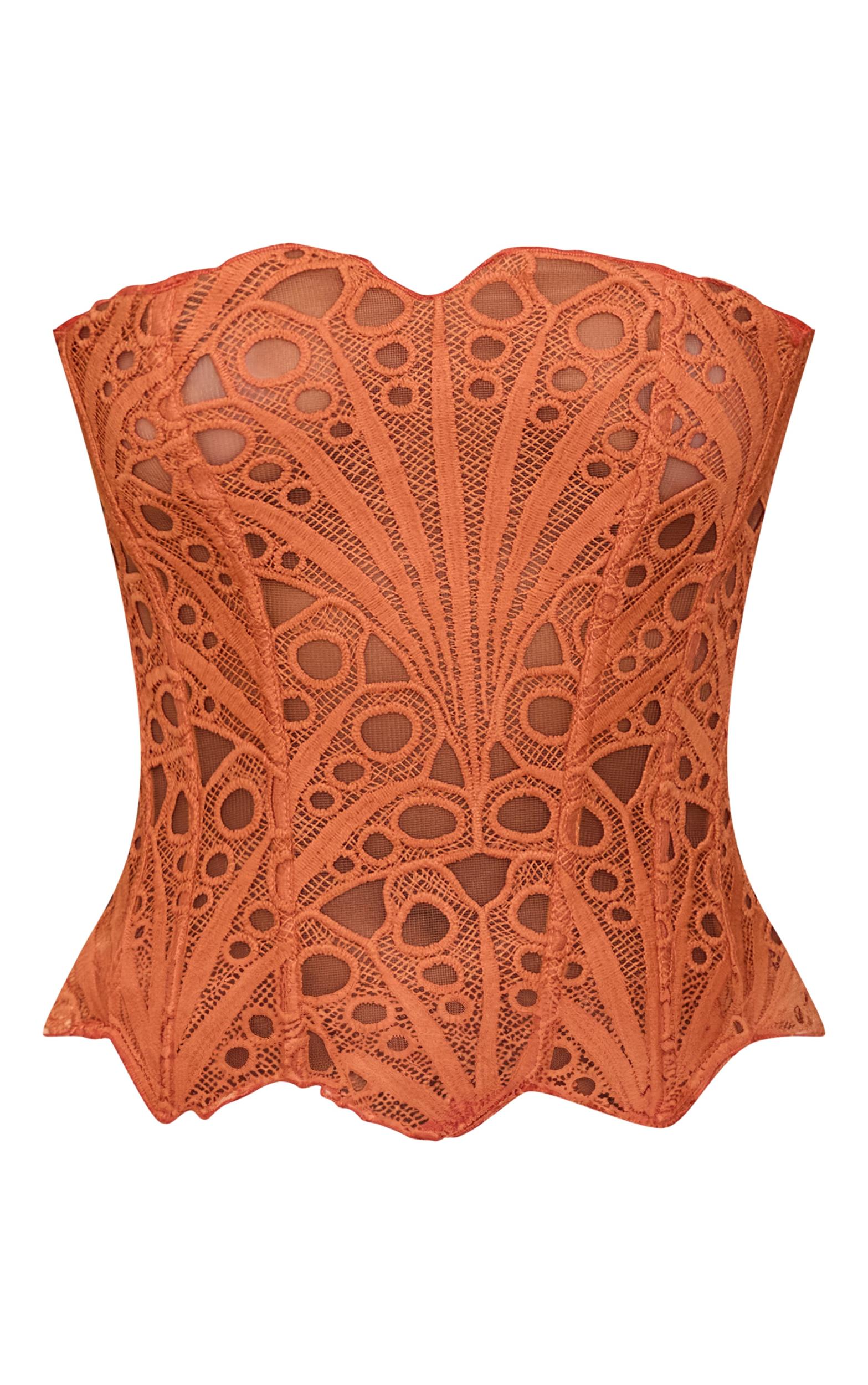 Apricot Textured Sheer Floral Lace Corset Product Image