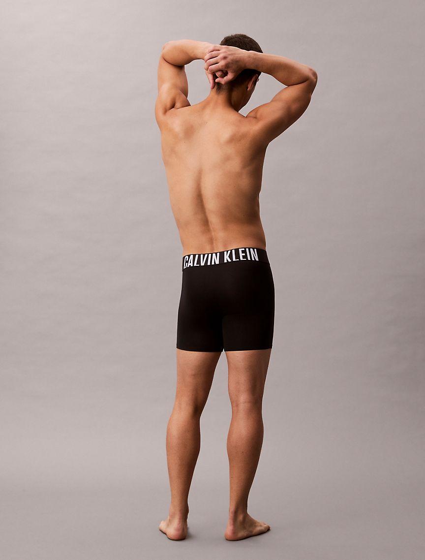 Intense Power Micro 3-Pack Boxer Brief Product Image