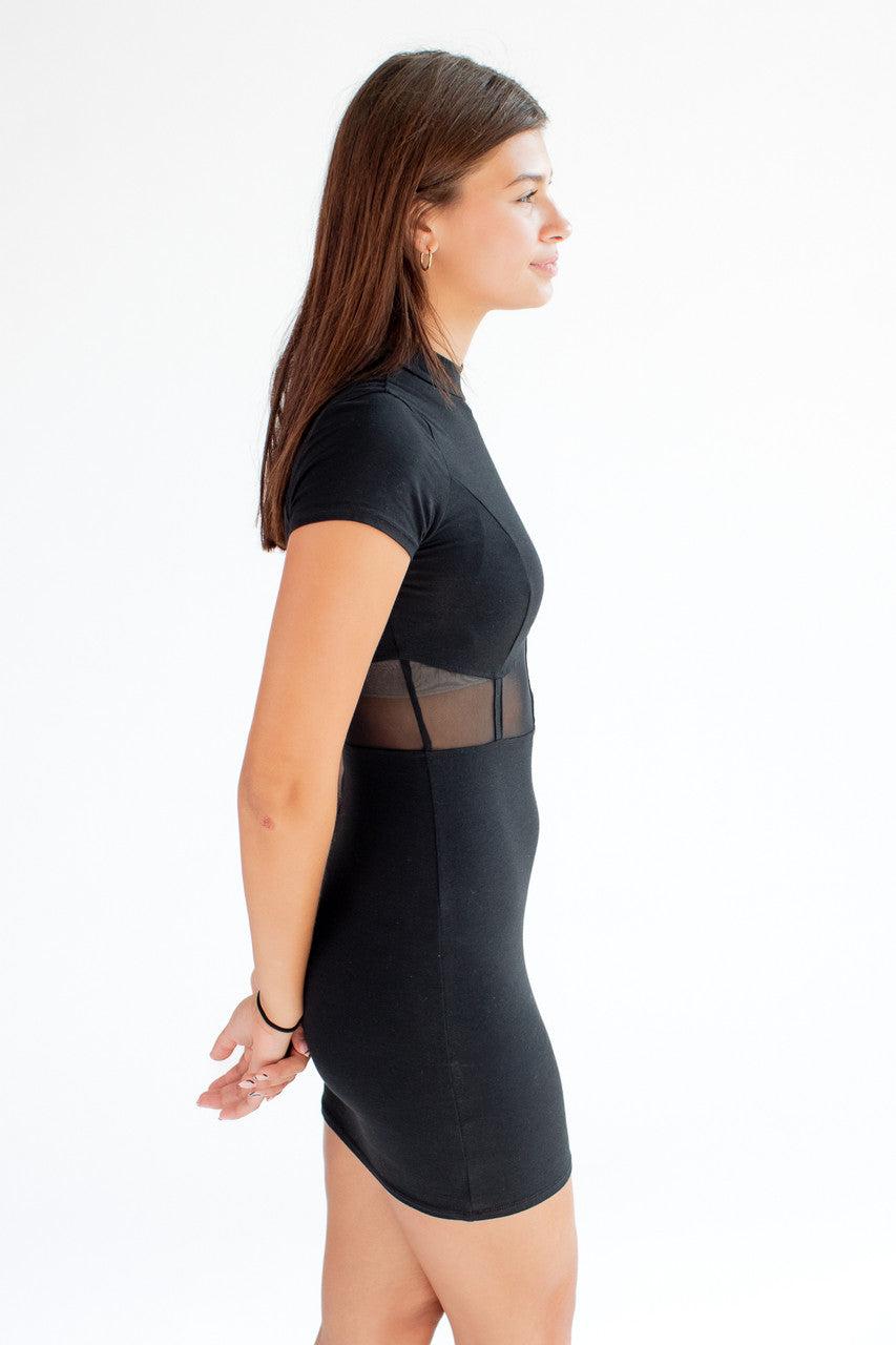 Mesh Corset Mini Dress Product Image