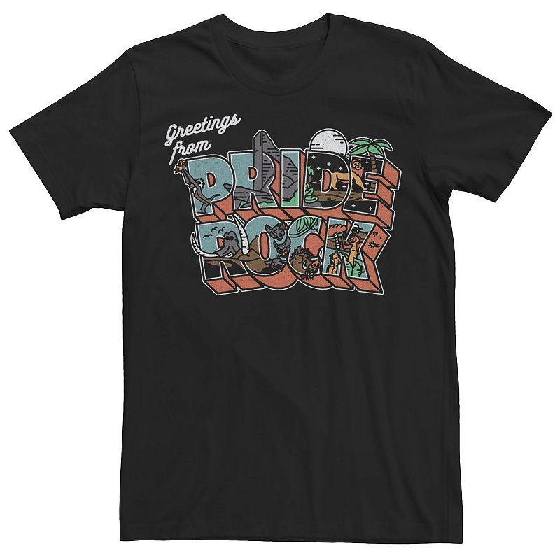 Disney's The Lion King Men's Pride Rock Portrait Fill Tee, Size: Large, Black Product Image