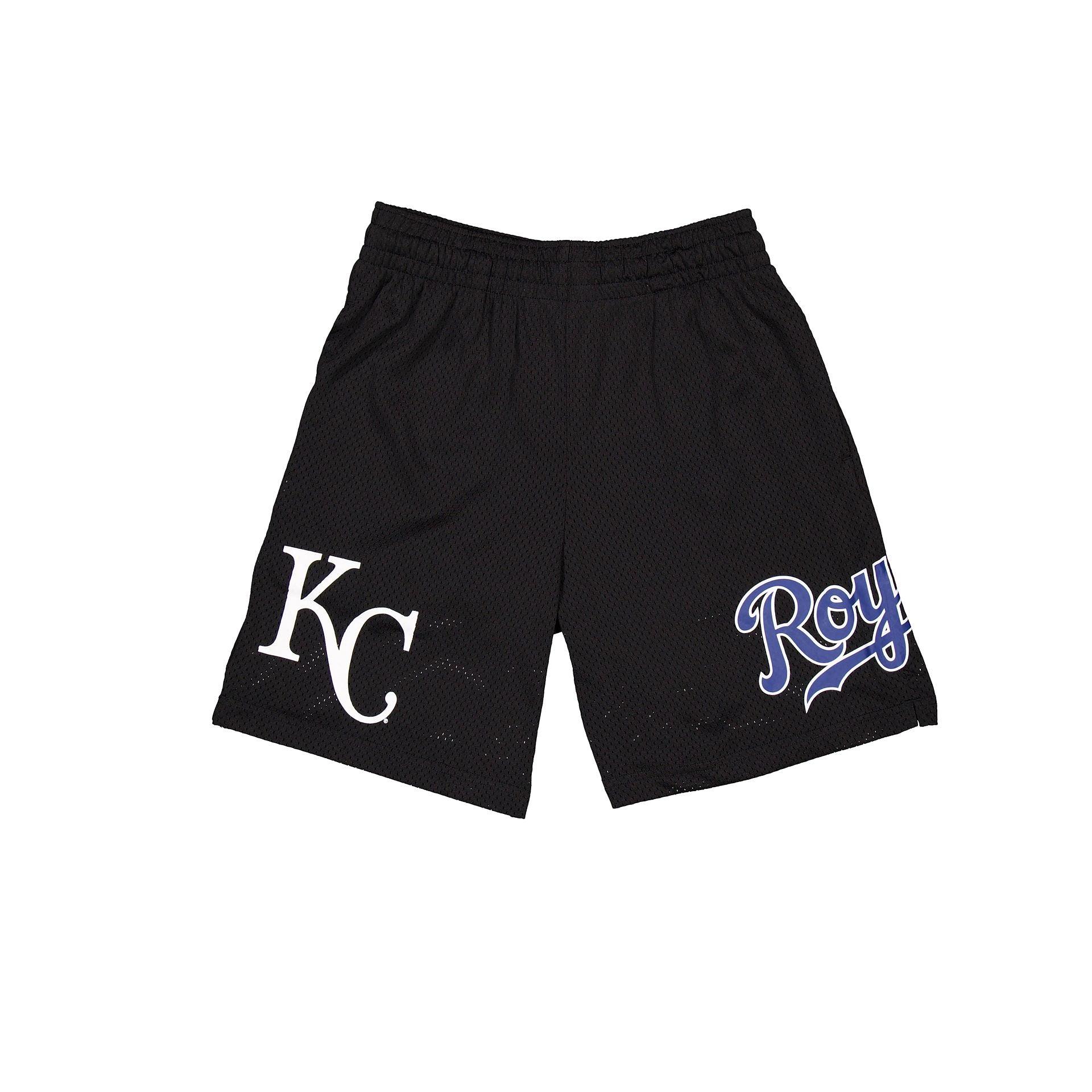 Chicago Cubs Mesh Shorts Male Product Image