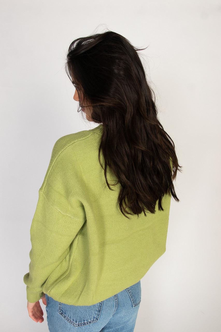 Dinosaur Sweater Product Image