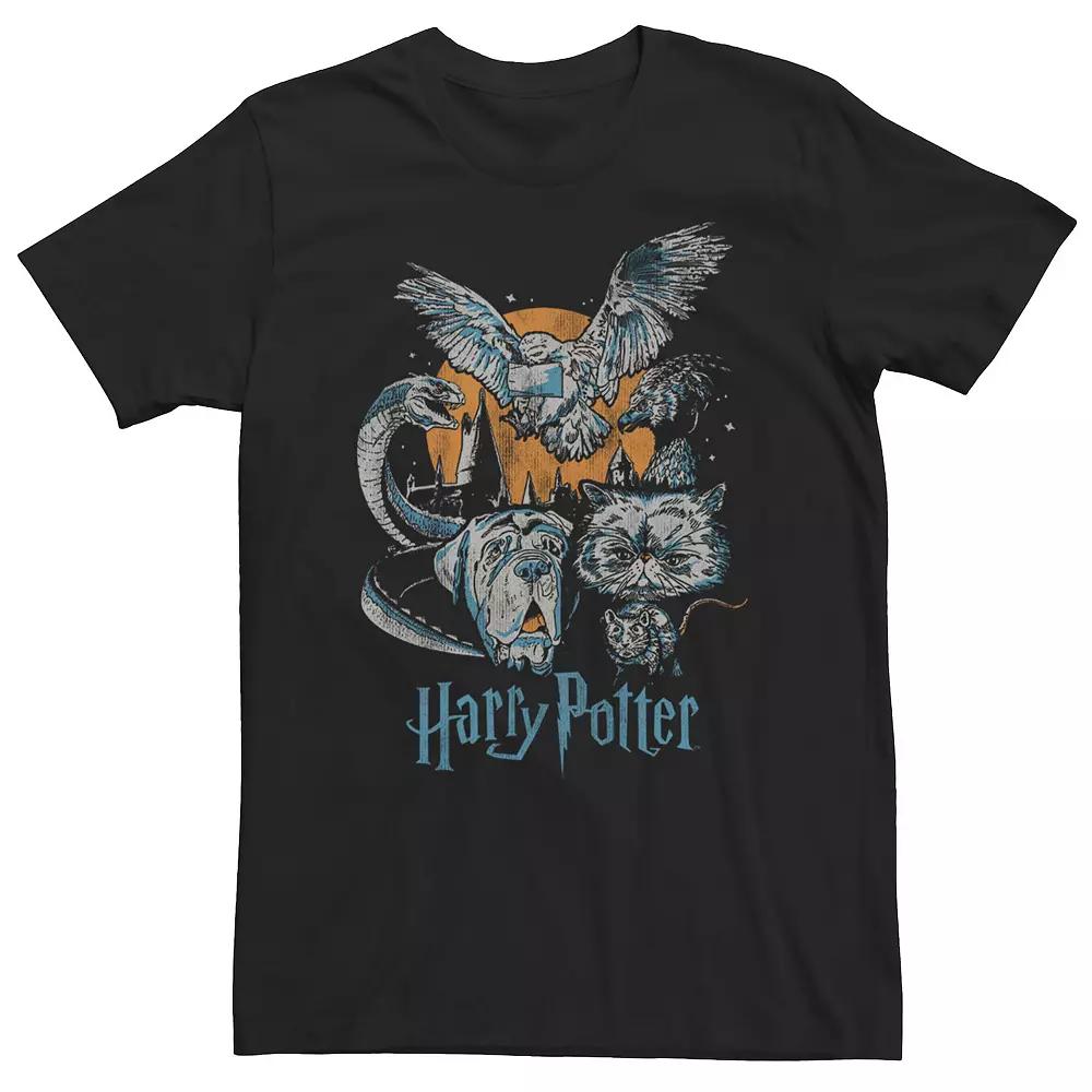 Big & Tall Harry Potter Familiar Sketch Portrait Tee, Boy's,  Product Image