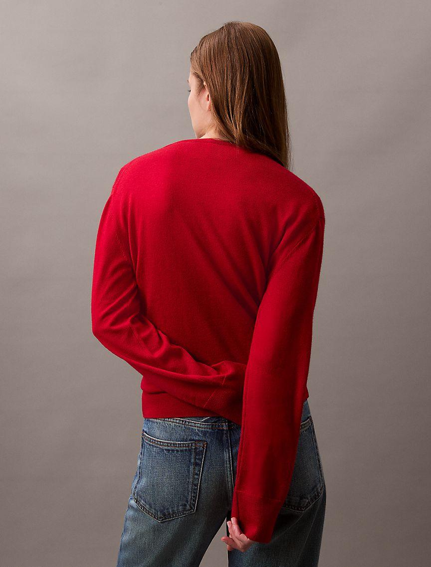 Extra Fine Merino Blend V-Neck Sweater Product Image