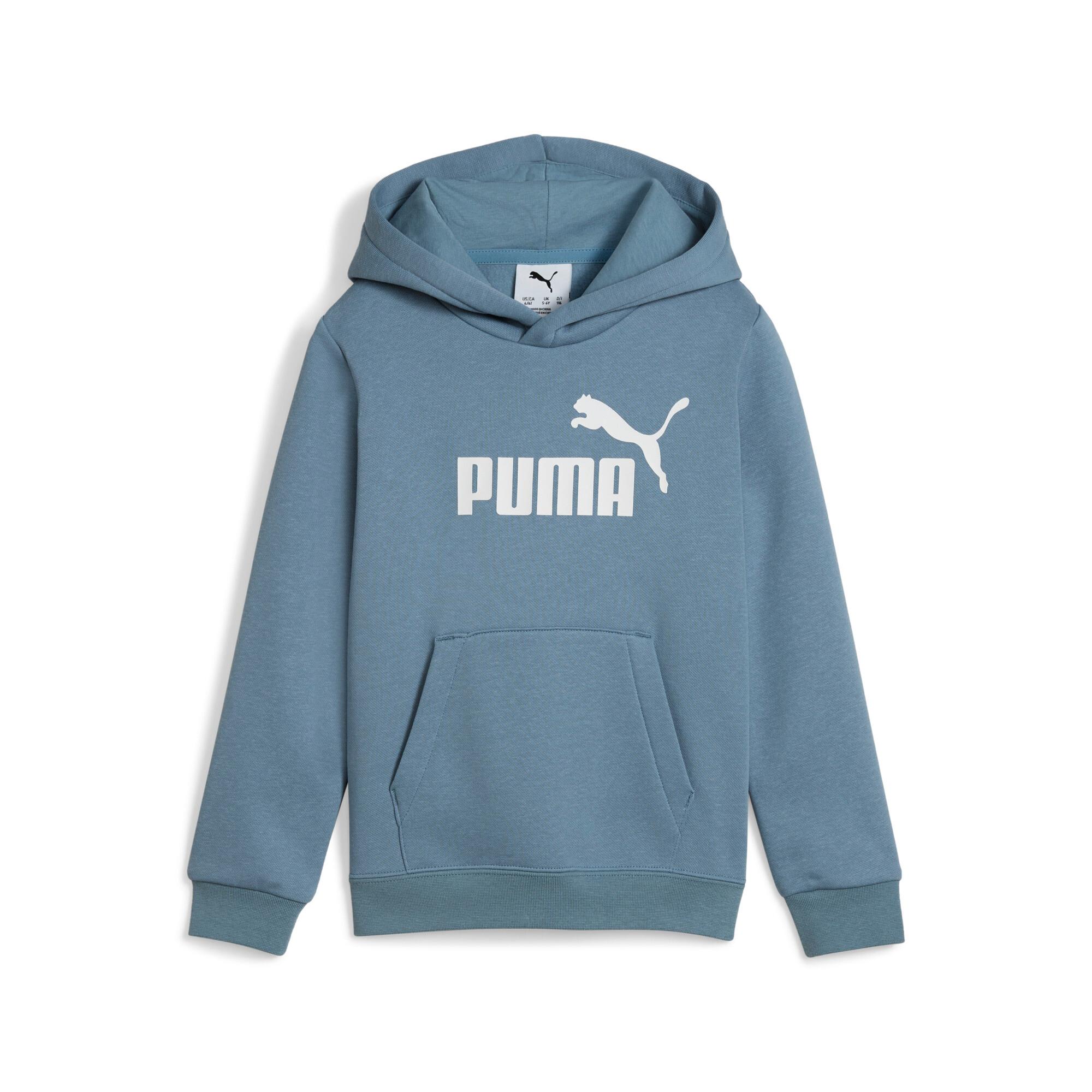 PUMA Essentials No. 1 Logo Little Kids' Fleece Hoodie Product Image