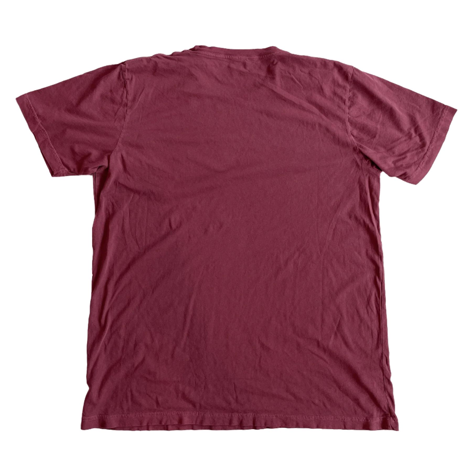 RINGSPUN JERSEY SHORT SLEEVE TEE Male Product Image
