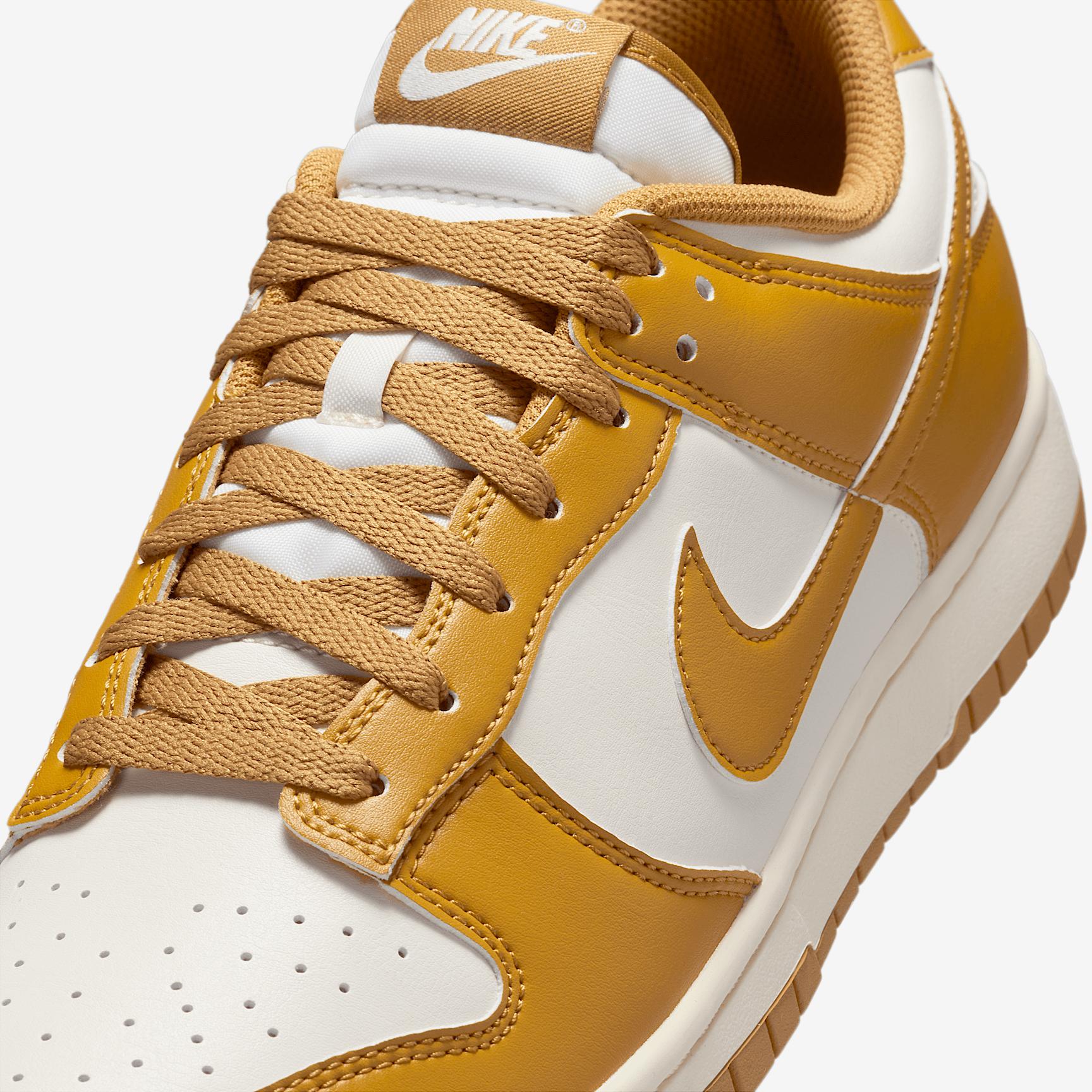Nike Men's Dunk Low Retro Shoes Product Image