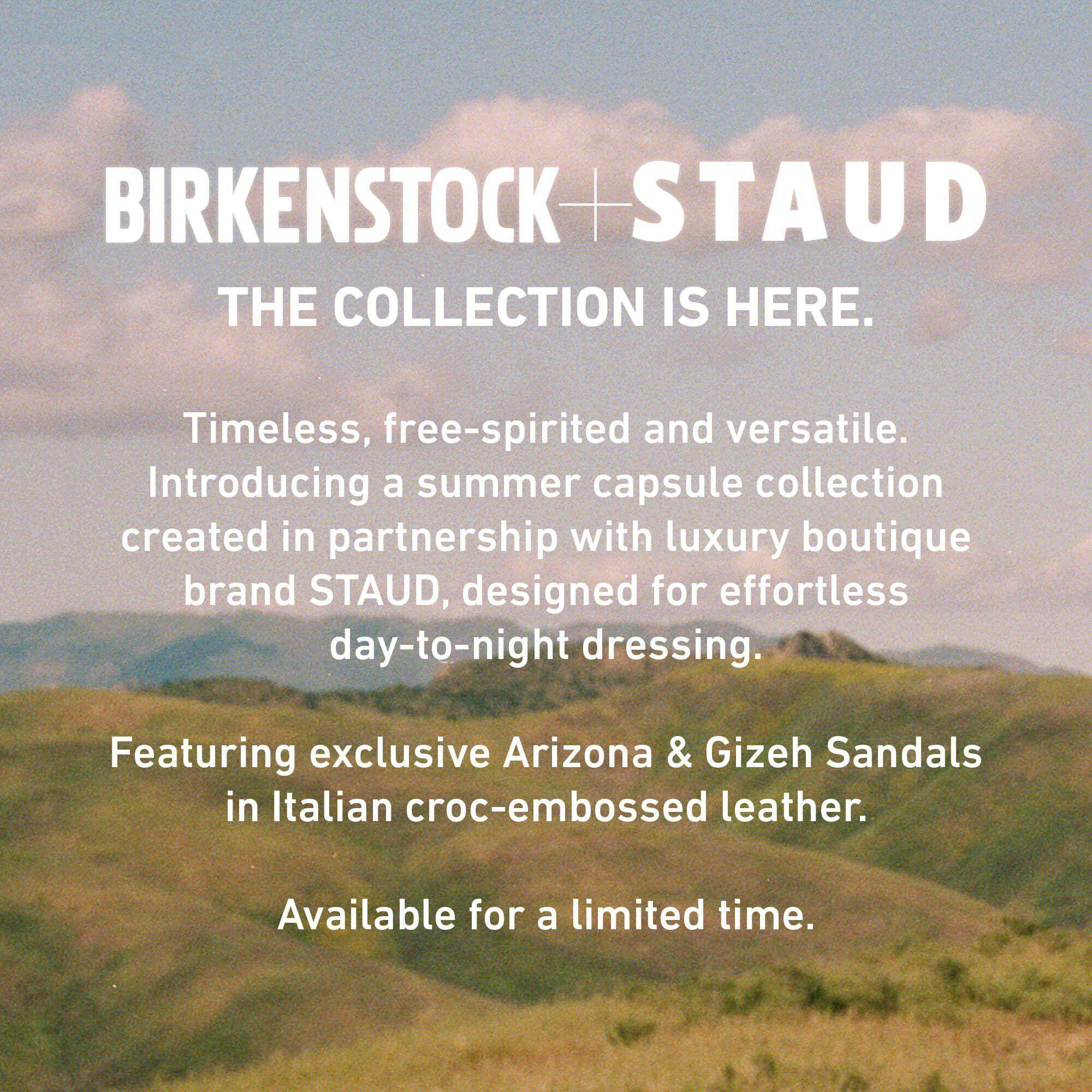 Gizeh Big Buckle Natural Leather Patent Black Product Image